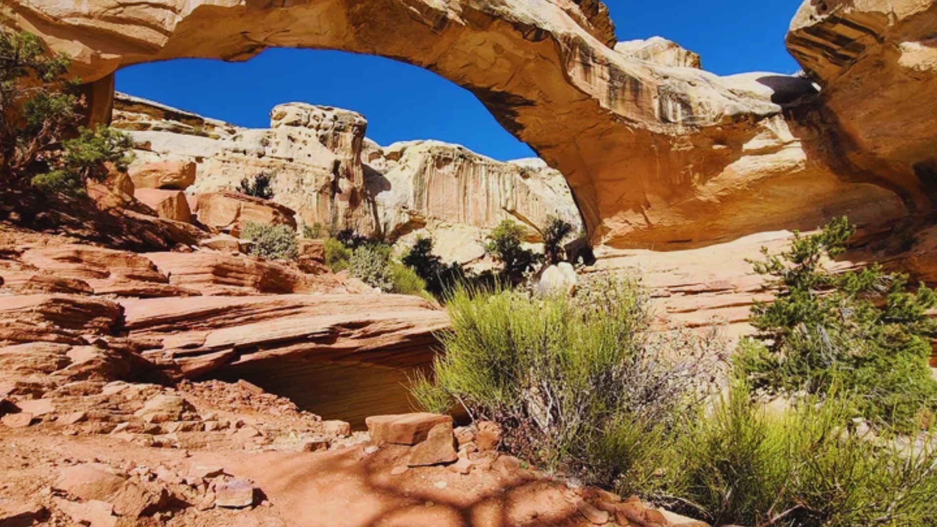 A natural arch in the canyon formed by striking red rocks against a clear blue sky.