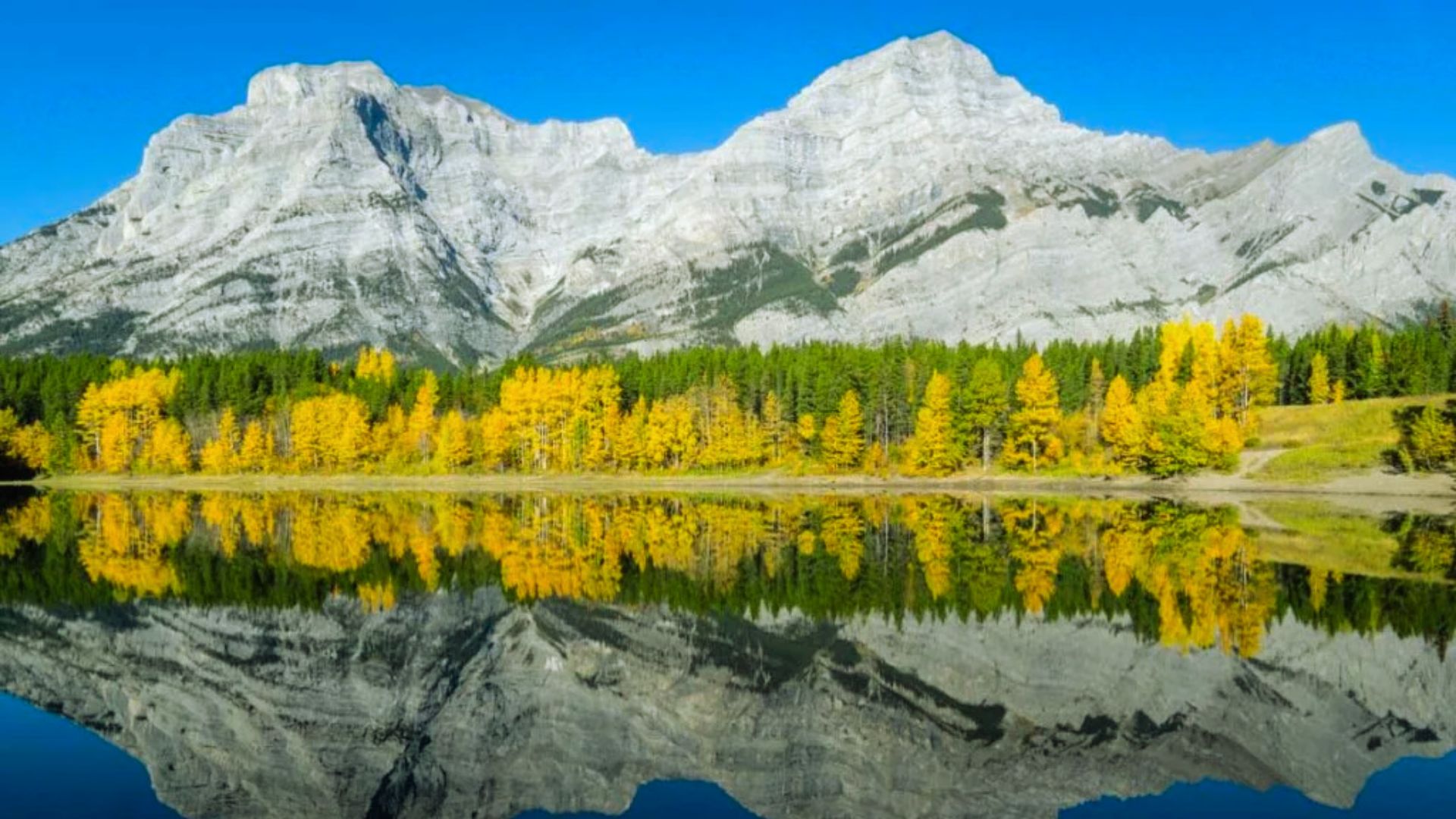 A majestic mountain range under a clear blue sky reflects perfectly in a calm lake. Yellow autumn trees line the shore, creating a serene landscape.