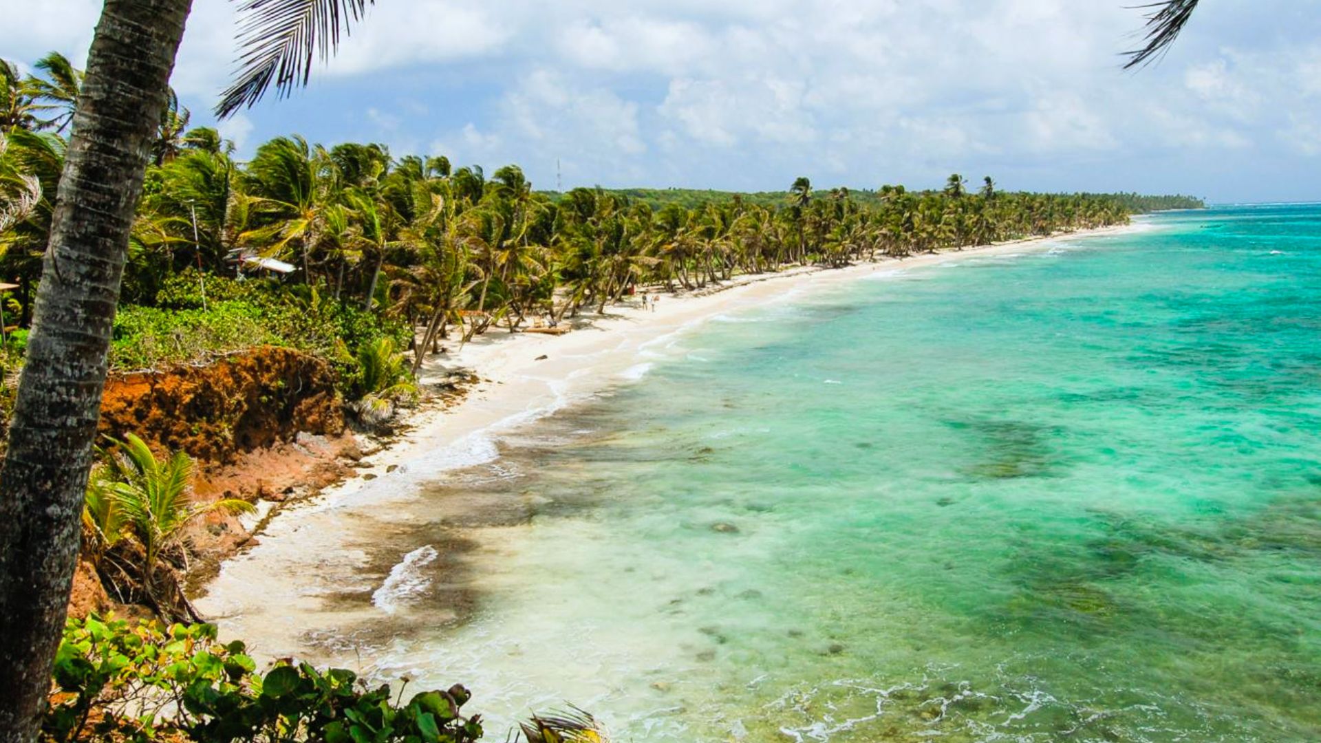 A tropical beach with turquoise waters and white sand lined by lush, swaying palm trees under a bright, partly cloudy sky, evoking a serene paradise.