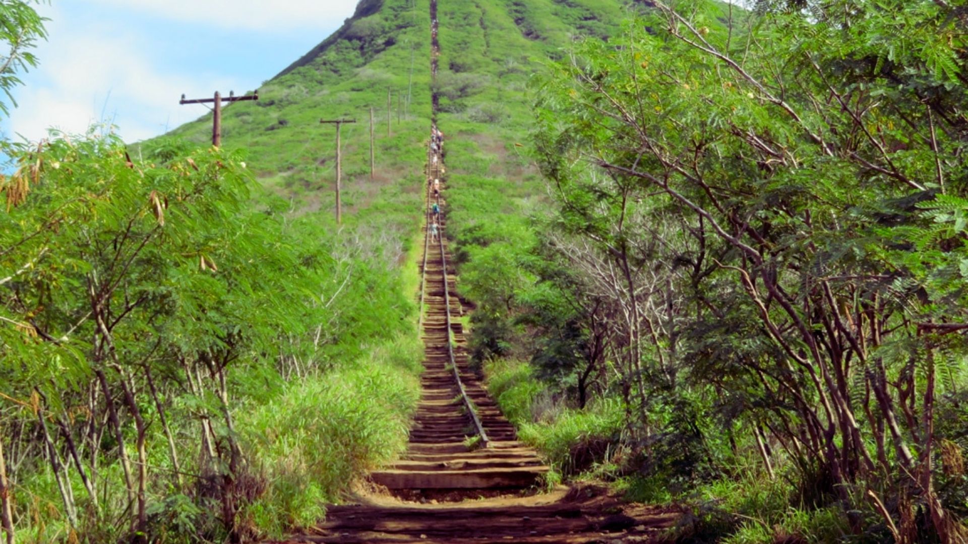 Trail of steep wooden tracks leads up a lush green mountain slope, flanked by trees, with hikers climbing under a partly cloudy sky.