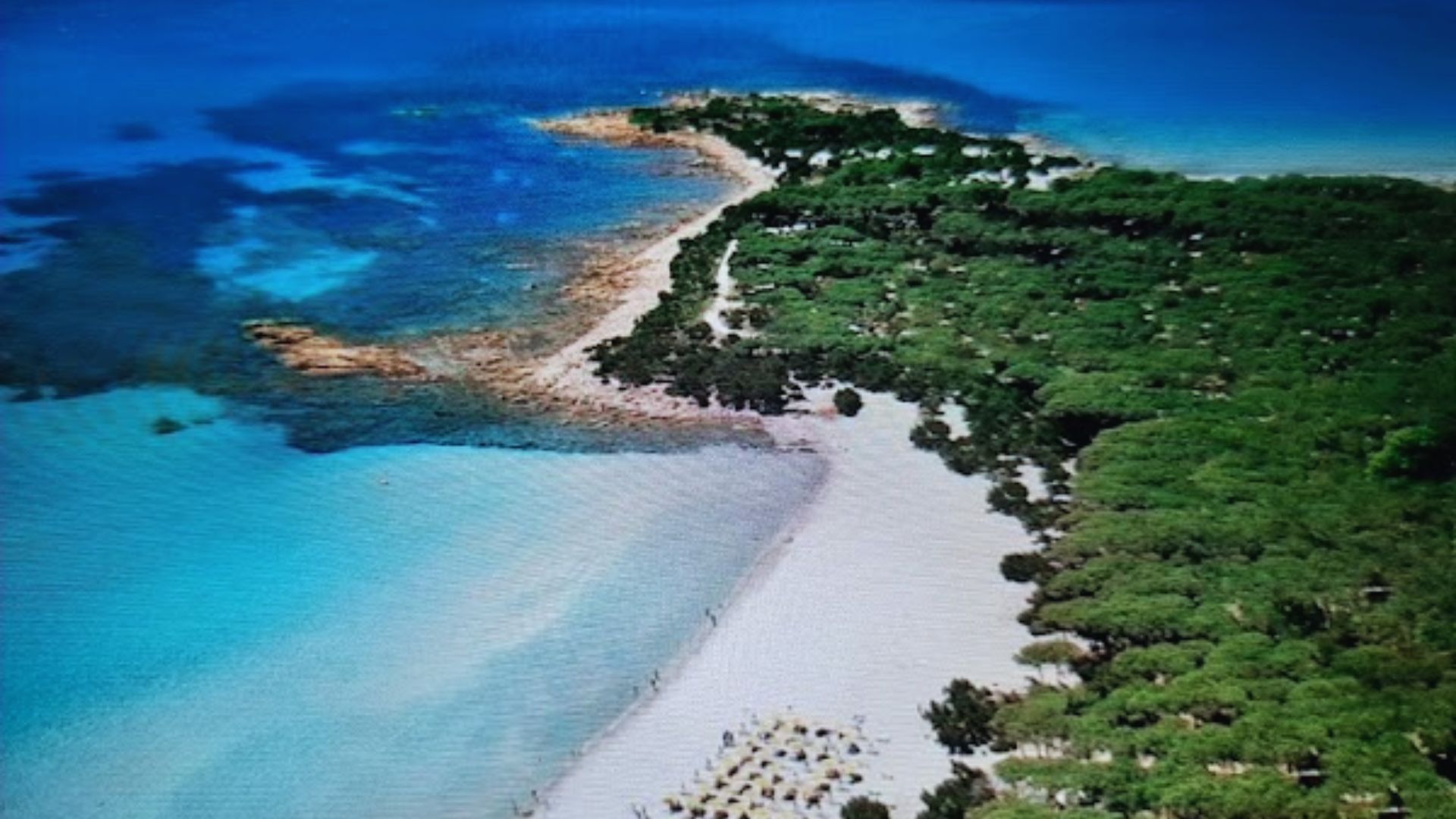 Aerial view of a serene beach with white sand, turquoise water, and lush green trees. Sunbathers and umbrellas dot the shore. Pristine, peaceful setting.
