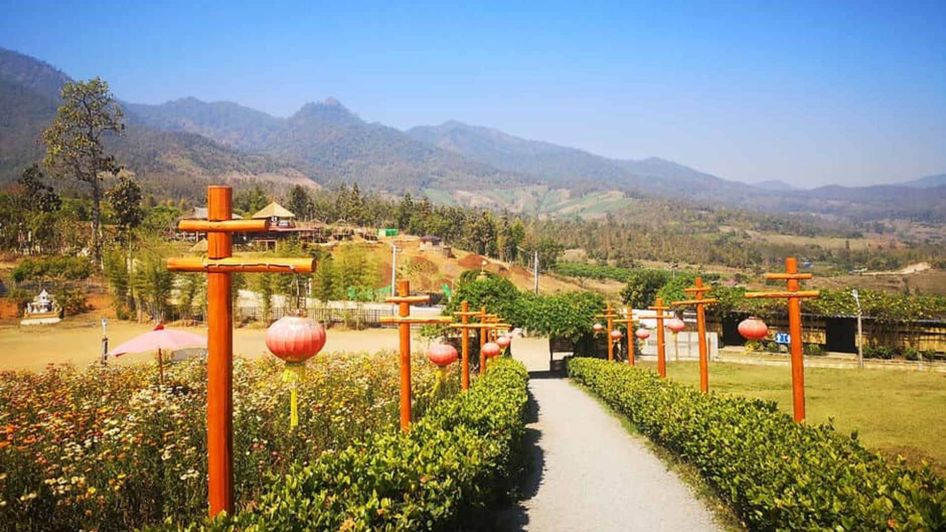 A scenic pathway leads to a mountain range, flanked by trees and illuminated by lanterns along the way.