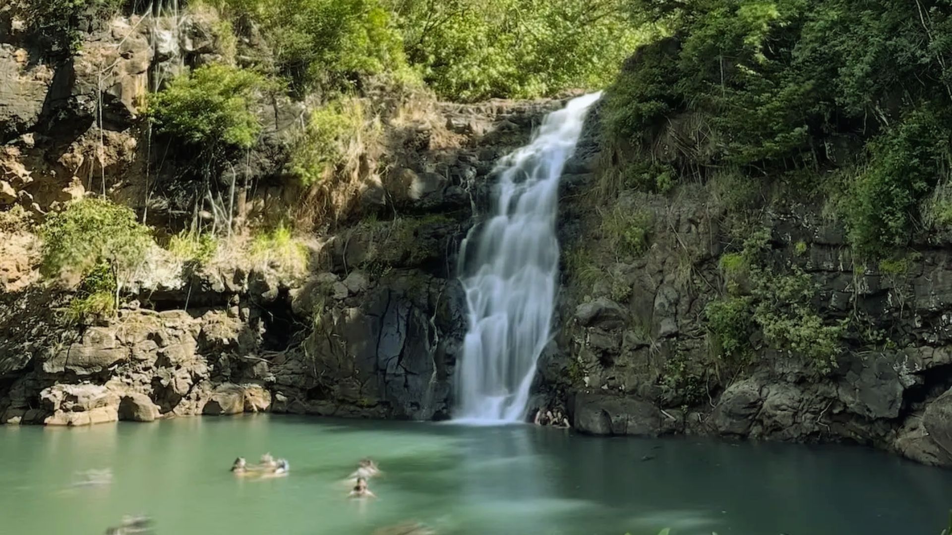 Waimea Valley Hike