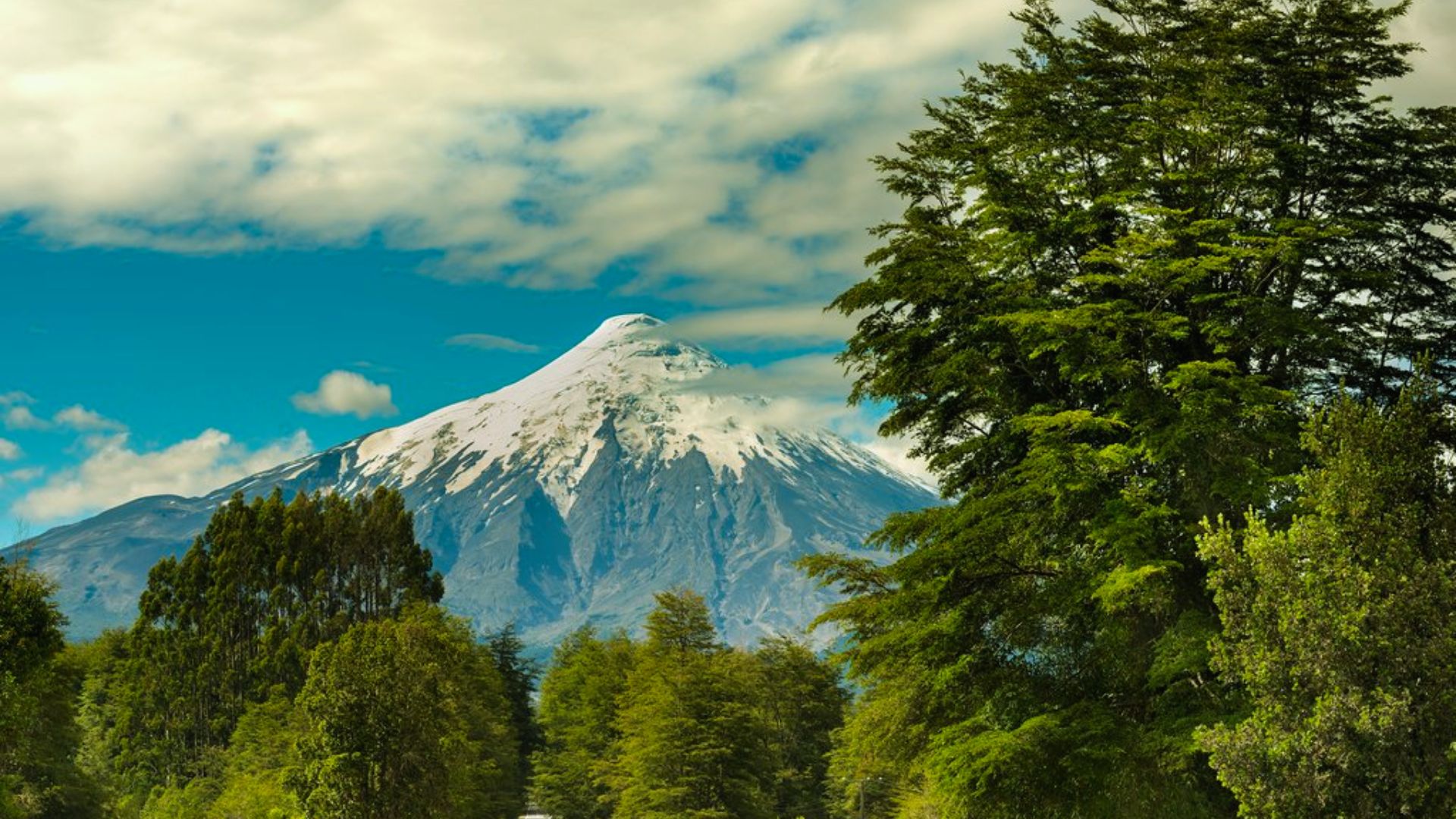 A scenic road leads to a mountain, surrounded by trees under a clear blue sky.