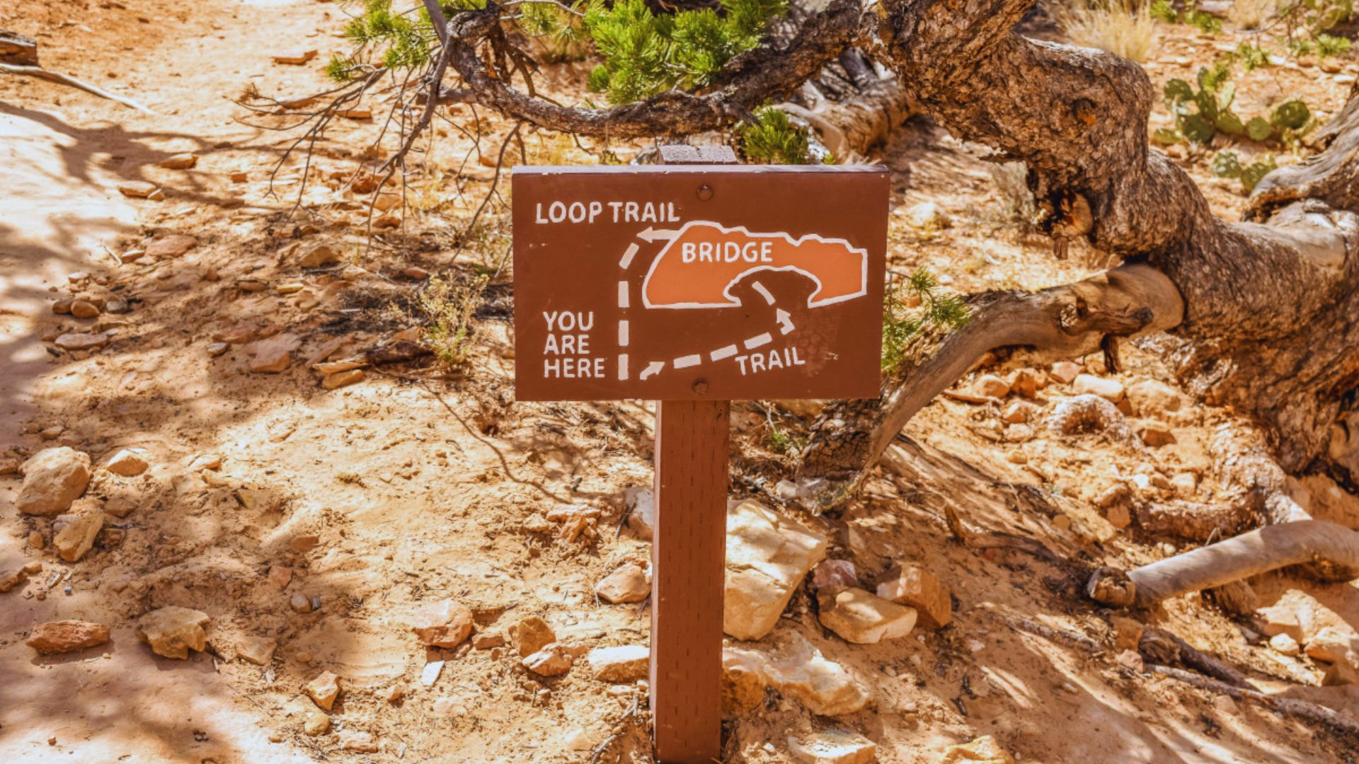 A sign displaying the message "Look Out for the Trail" against a natural background.