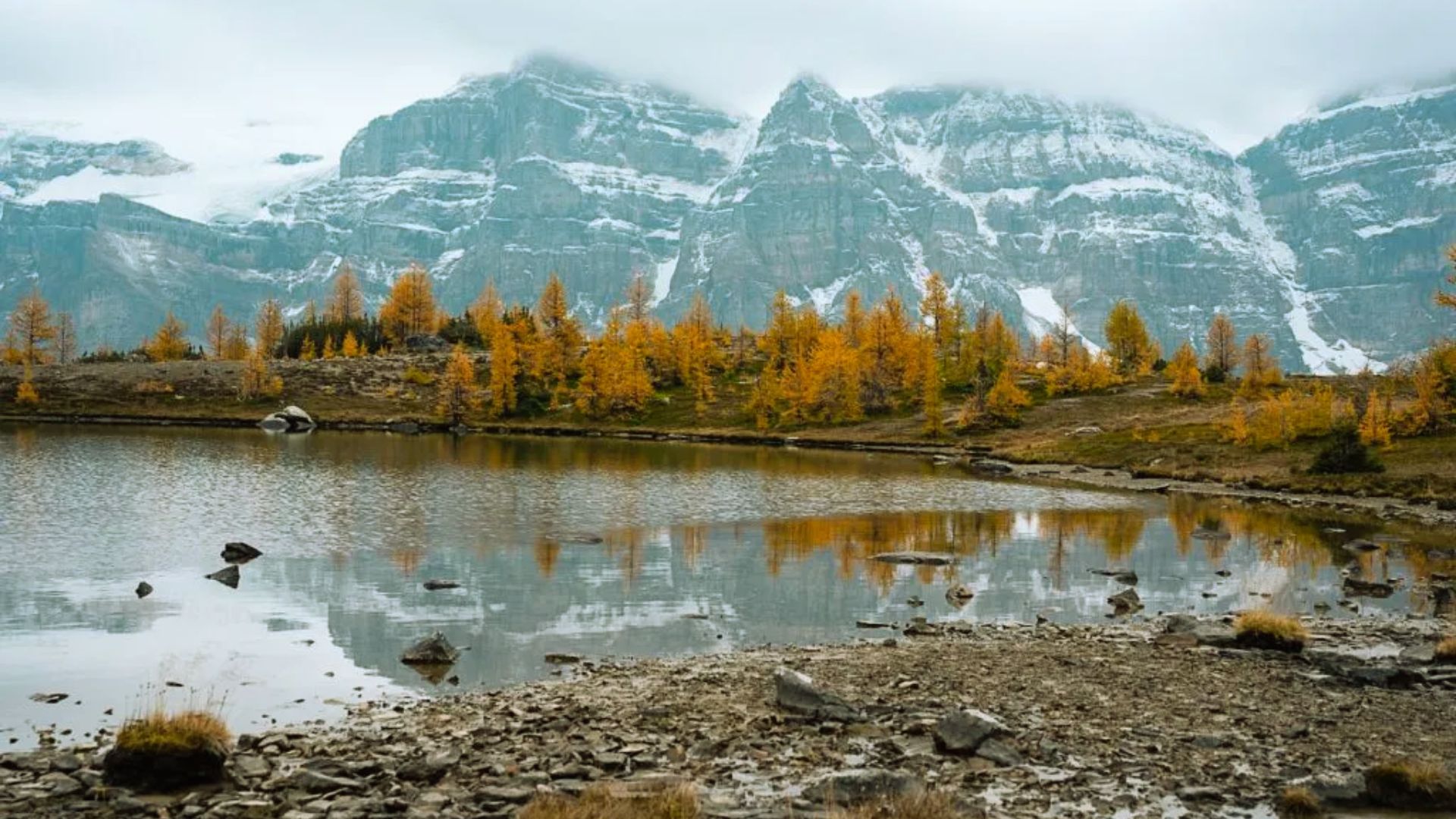 A serene mountain scene with snow-capped peaks, vibrant yellow autumn trees, and a calm reflective lake under a cloudy sky. Rocky shoreline in the foreground.