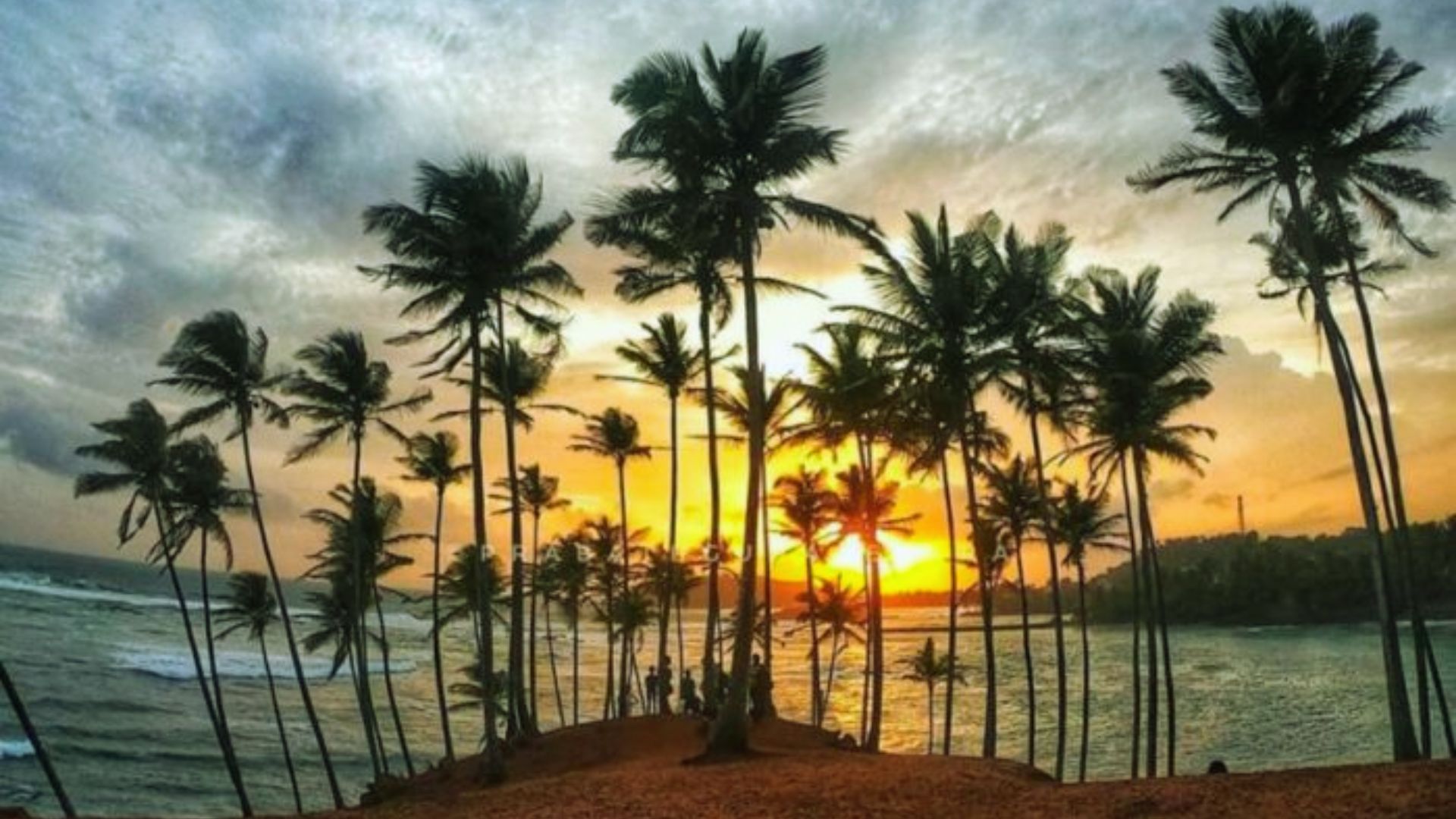 A vibrant sunset casts orange and pink hues over the ocean, framed by silhouetted palm trees.