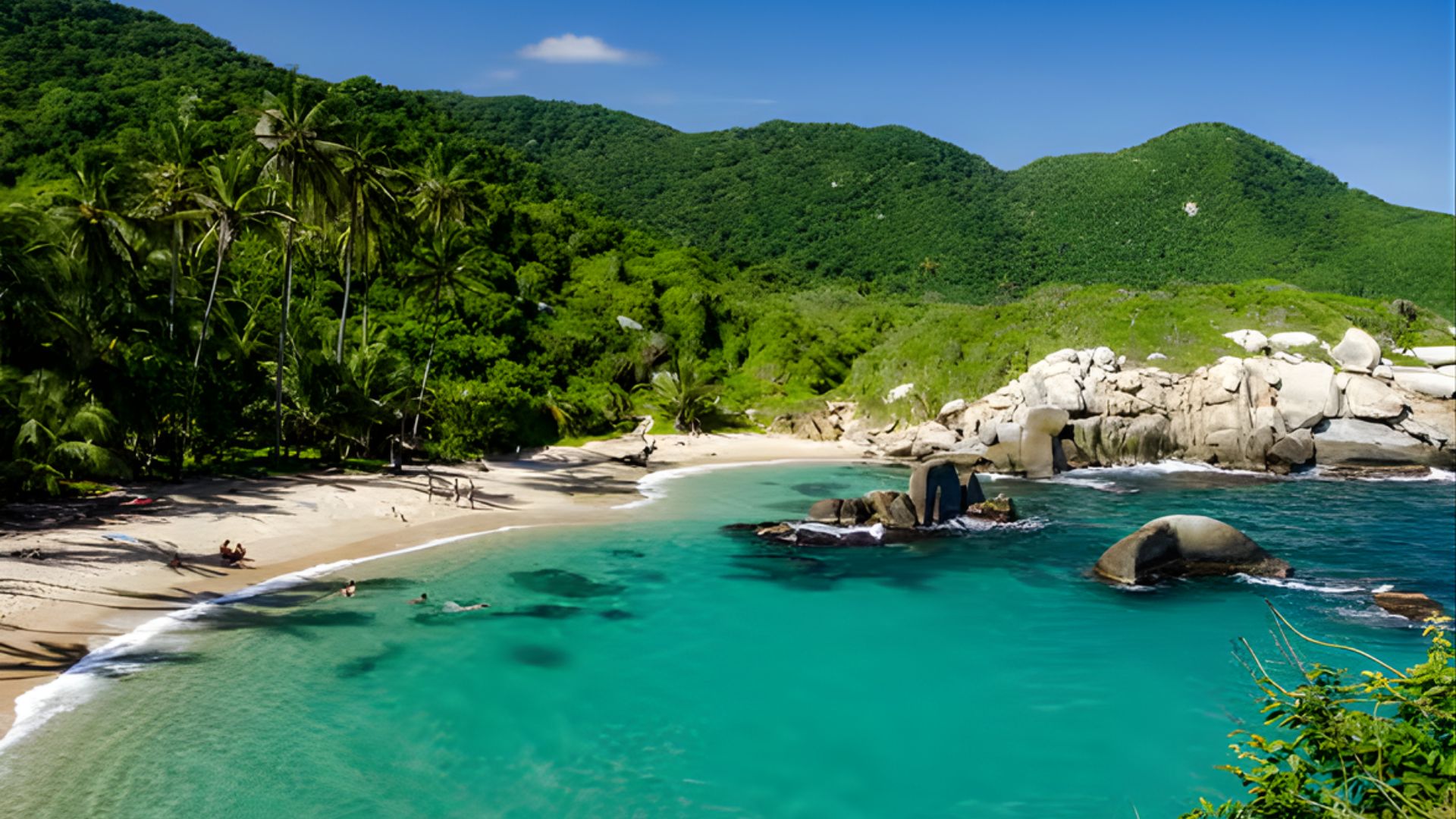 A picturesque beach with transparent water and vibrant green trees in the background.