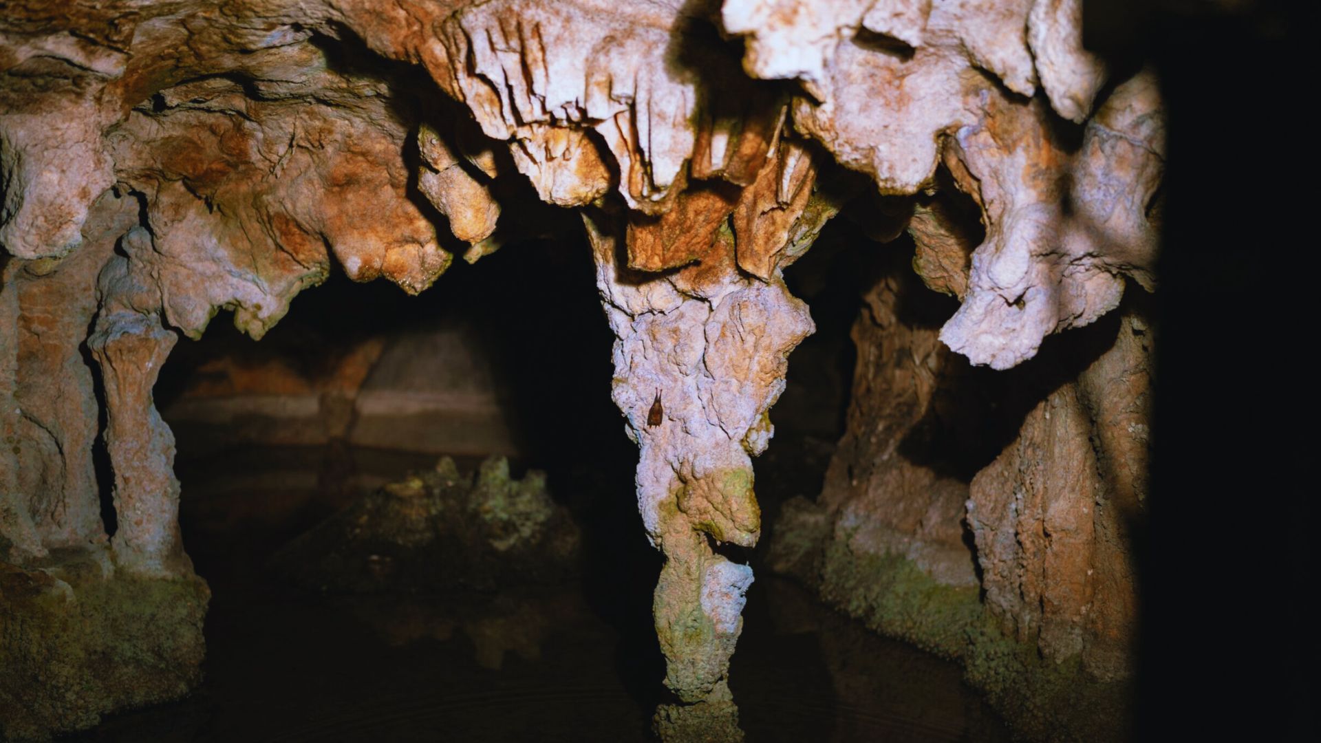 Cave interior with jagged stalactites and stalagmites, dimly lit, creating a mysterious and ancient atmosphere. Shadows highlight textured rock formations.
