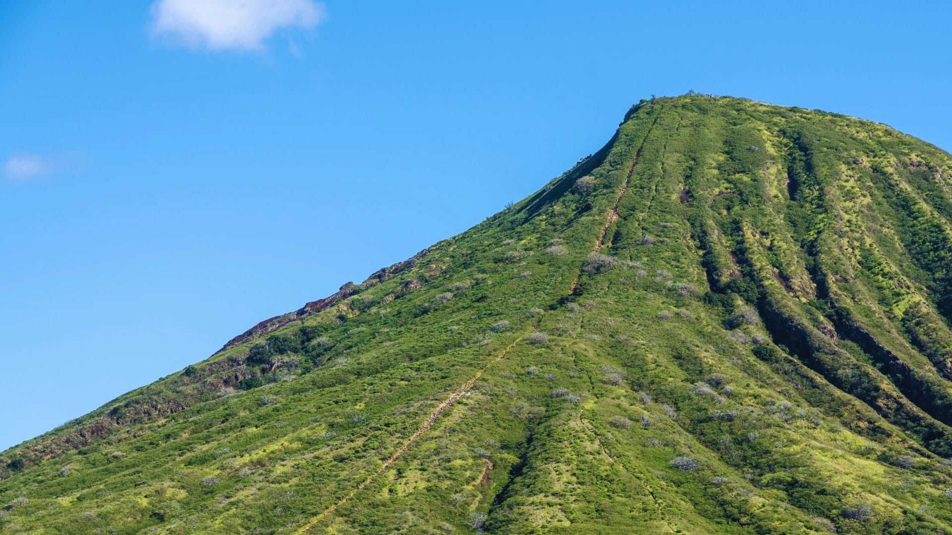 Steep, green mountain peak against a bright blue sky, showing narrow hiking trails. The scene conveys a sense of adventure and natural beauty.