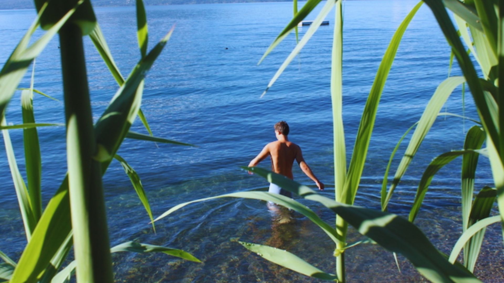 A man stands in shallow water beside tall grass, enjoying the serene natural surroundings.