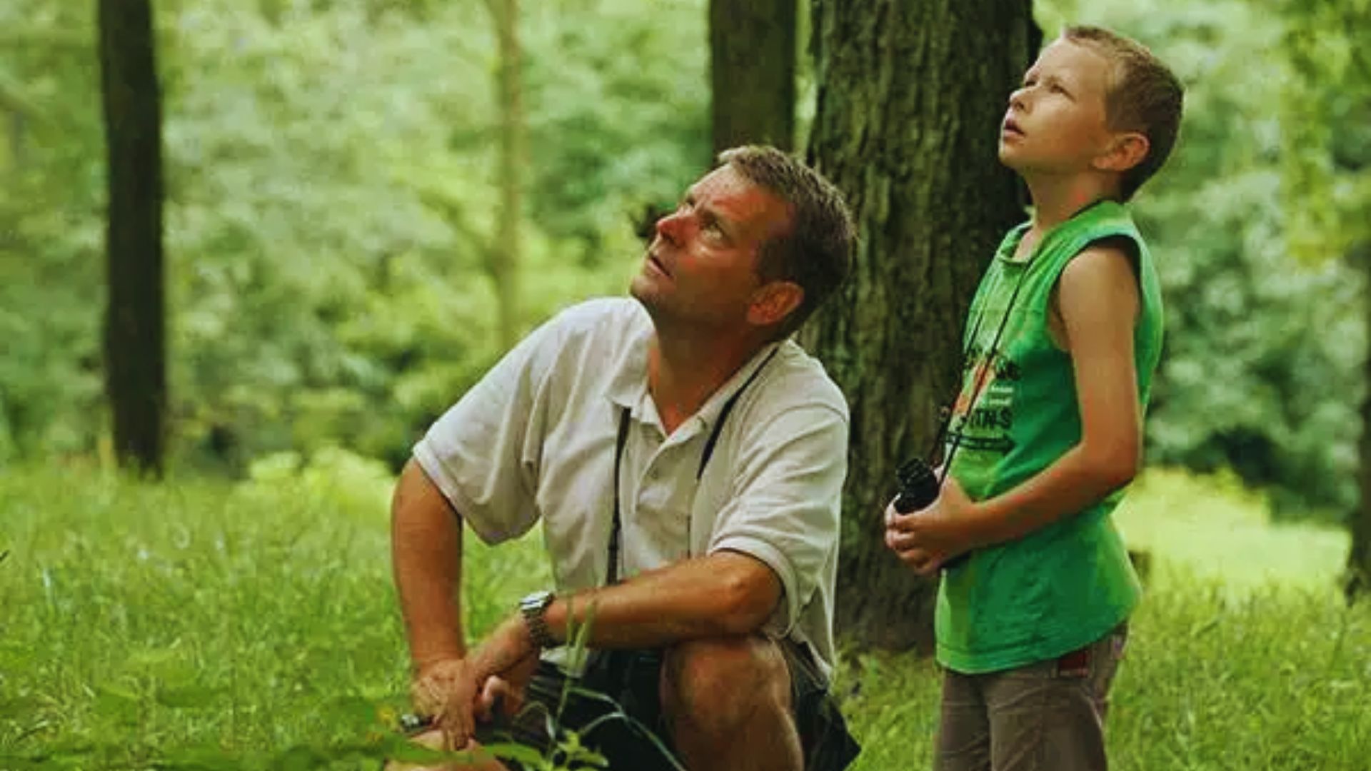 A father and son walking together in a lush green forest, surrounded by tall trees and dappled sunlight.