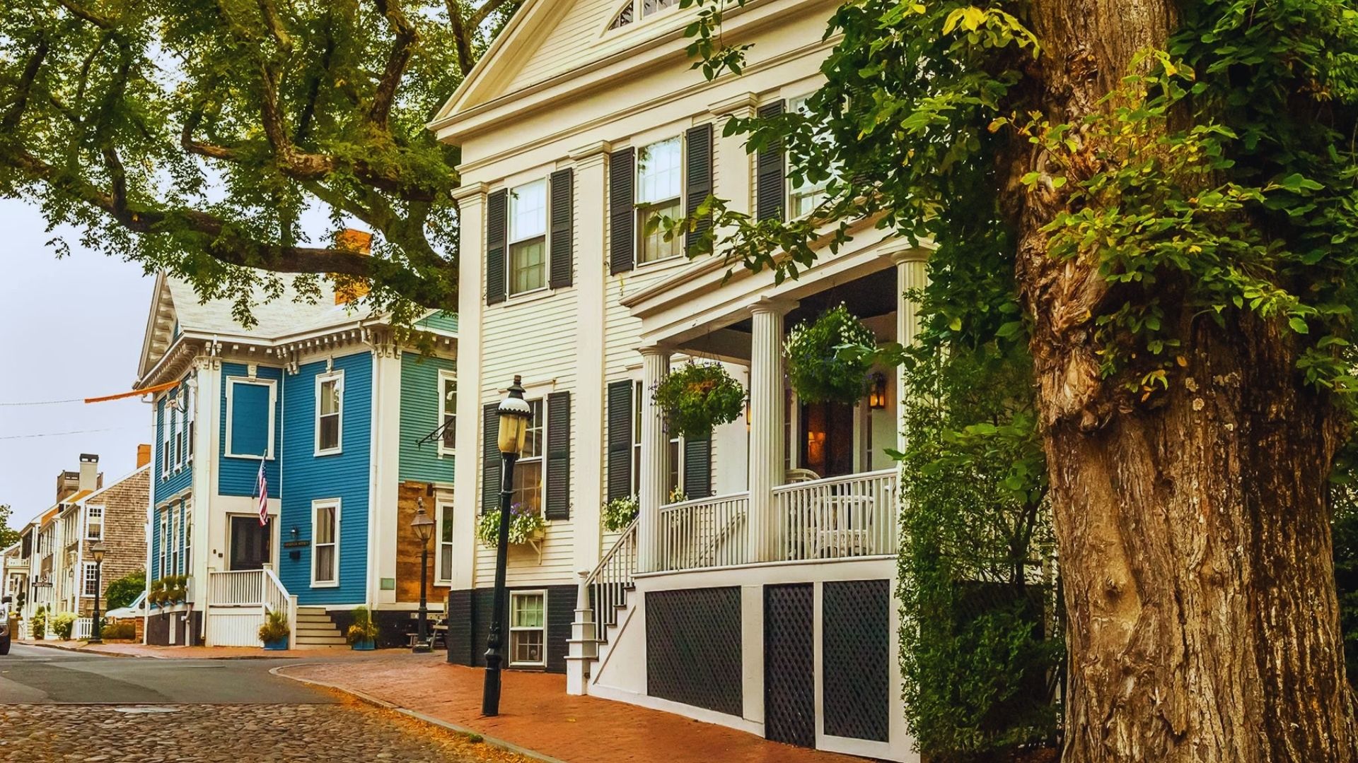 A row of vibrant houses lining a cobblestone street, showcasing a charming and colorful urban landscape.