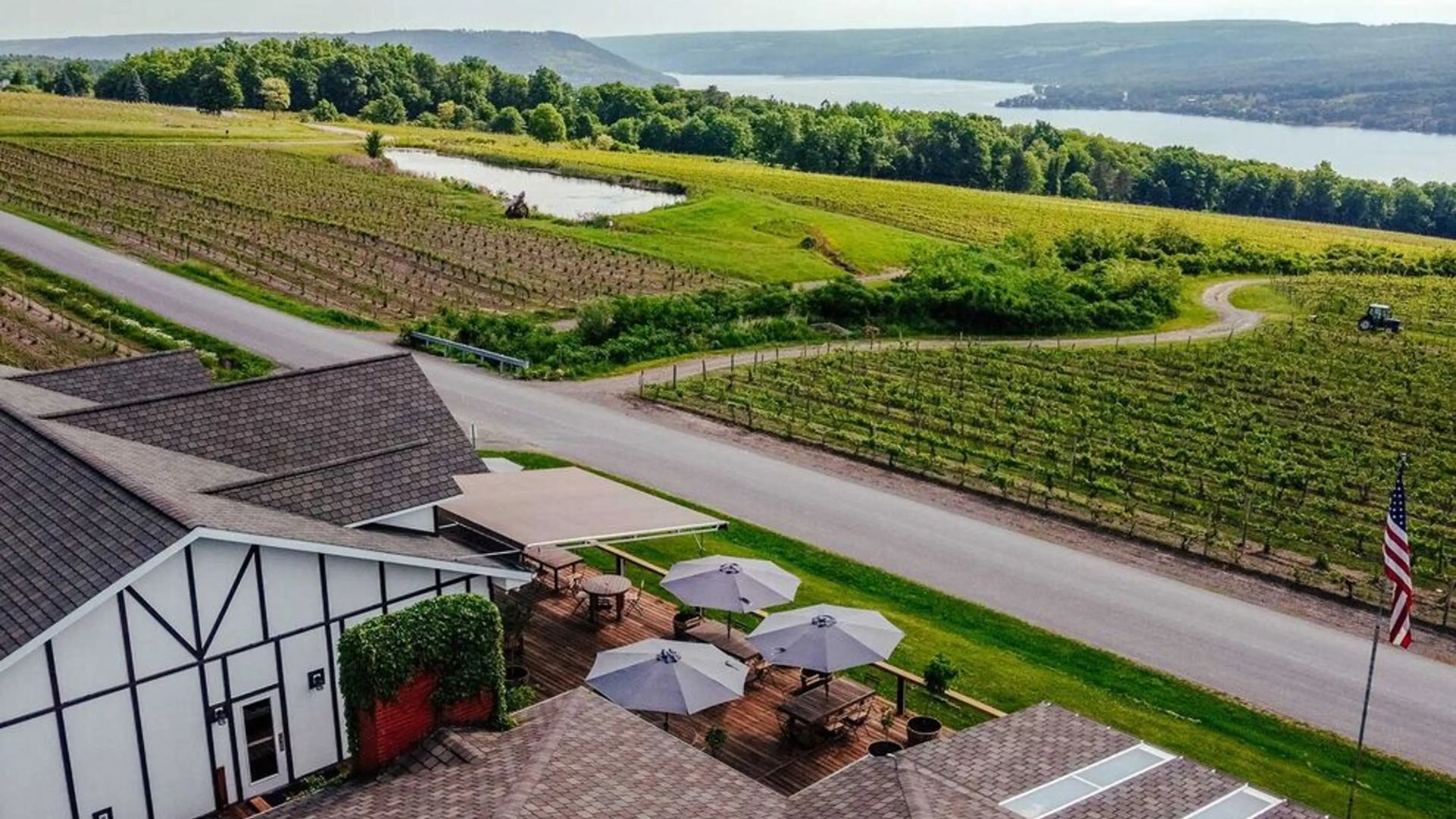 Aerial view of a lush vineyard surrounding a charming house, showcasing rows of grapevines and green landscape.