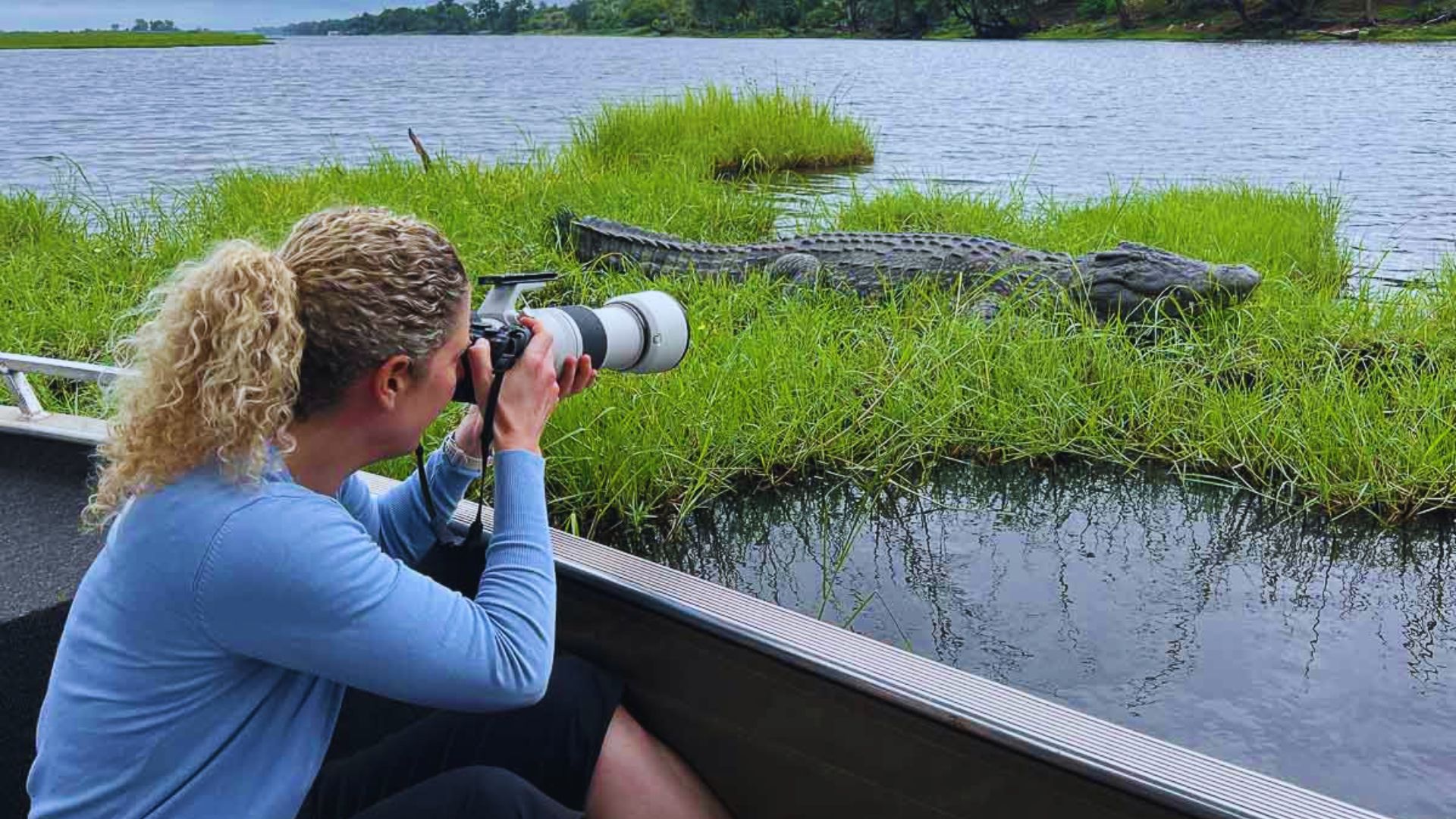 A woman photographing an alligator swimming in the water, capturing a moment in nature.