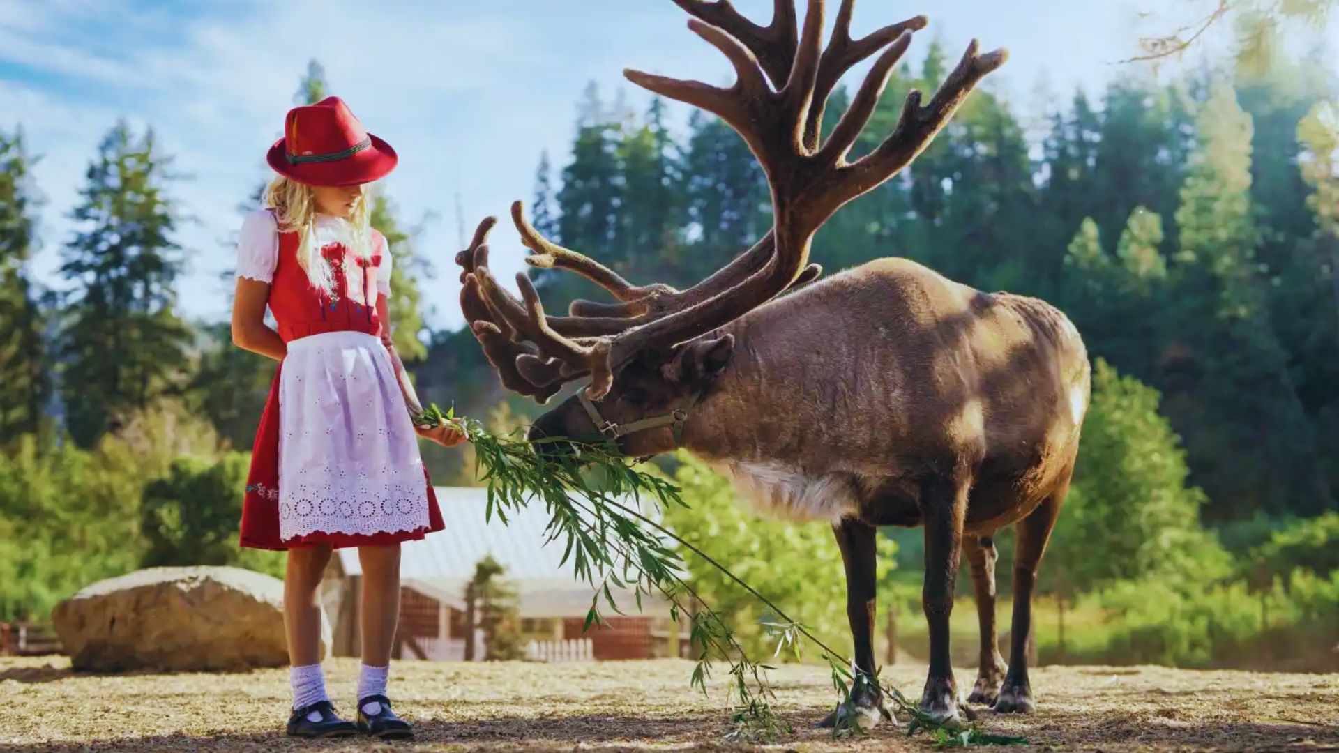 A woman wearing a red hat is feeding a reindeer in a snowy outdoor setting.