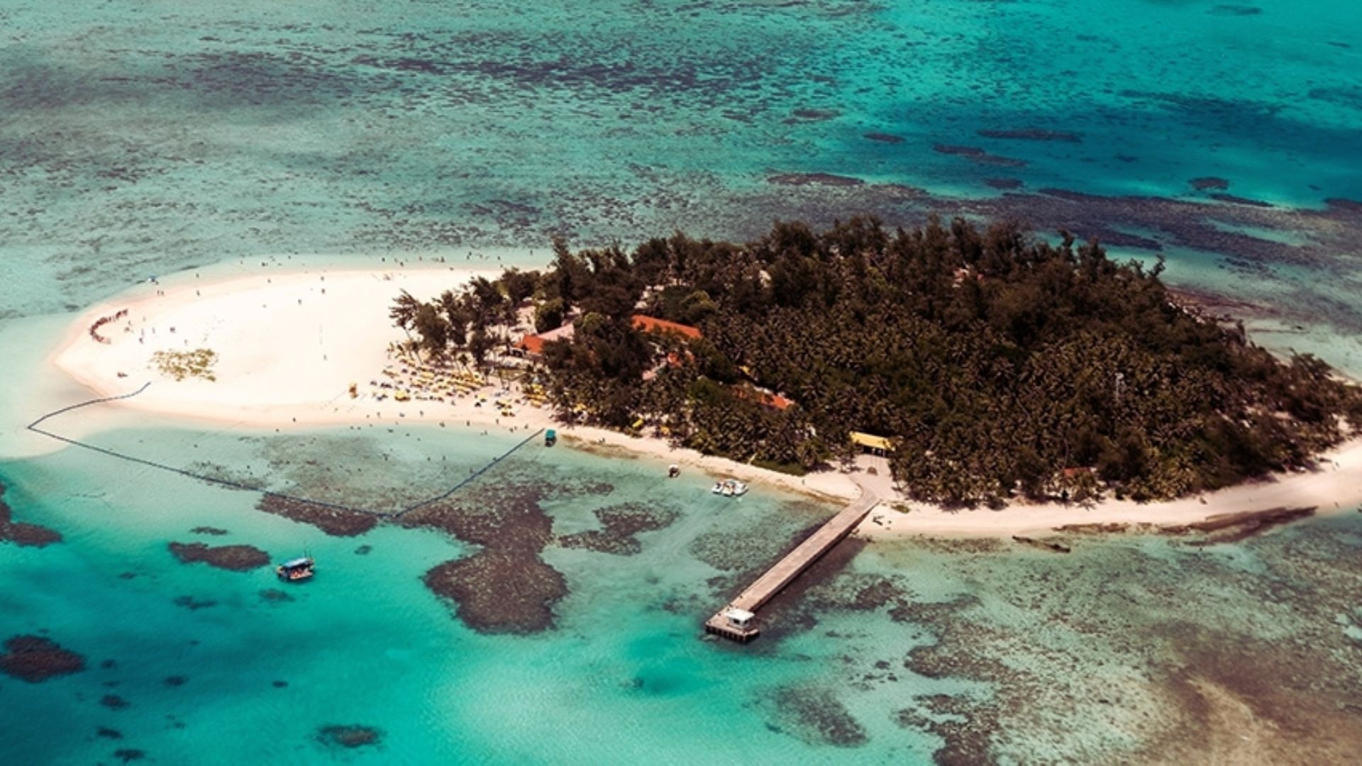Aerial view of a lush green island featuring a small wooden dock extending into the clear blue water.