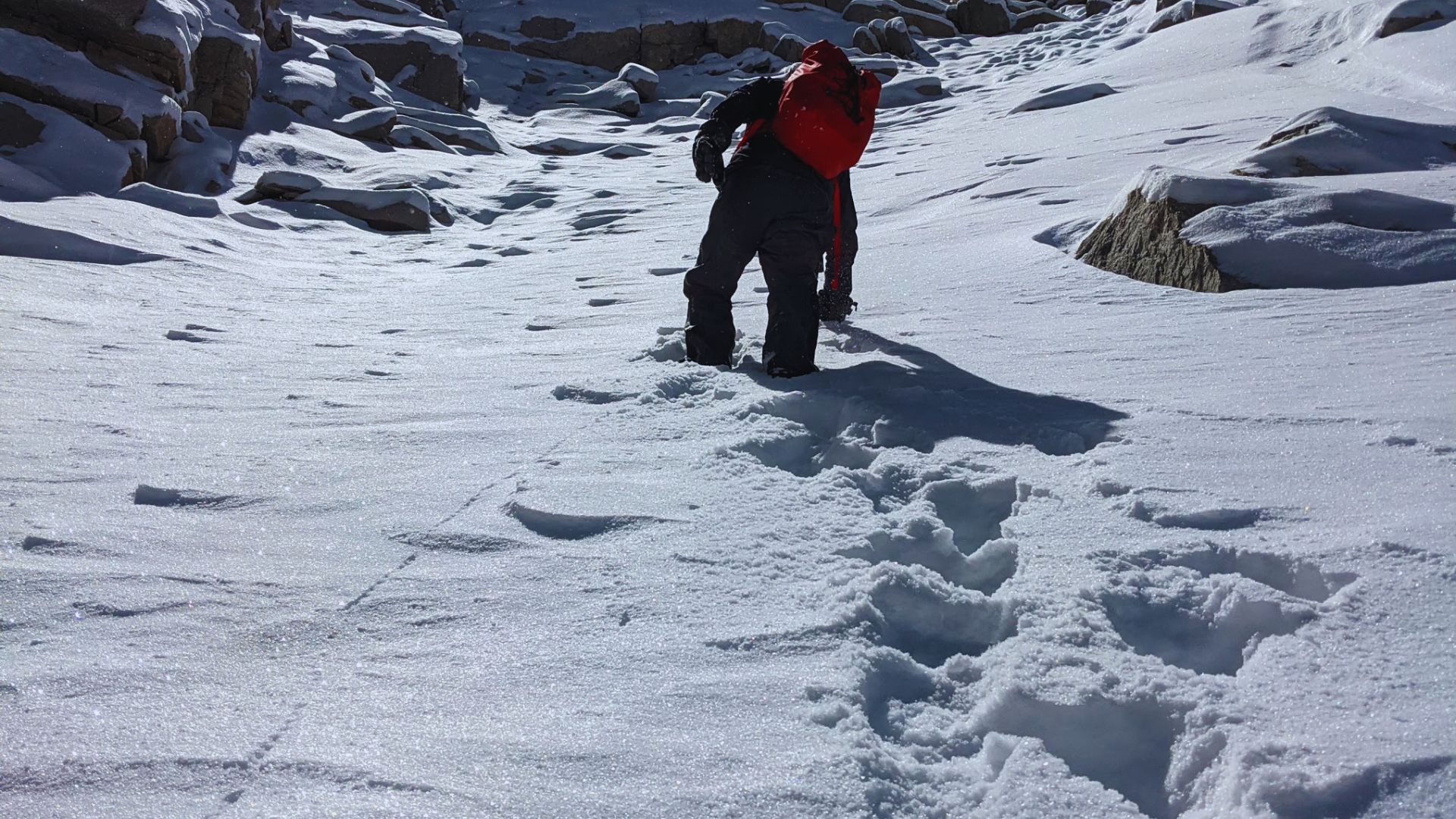 A man walking along a snowy mountain trail, surrounded by white snow and tall pine trees.