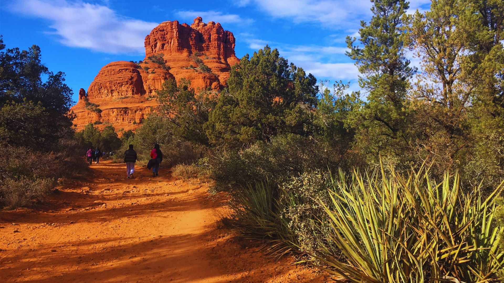 Hikers walk along a red dirt path surrounded by green bushes and trees, leading to a towering red rock formation under a clear blue sky.