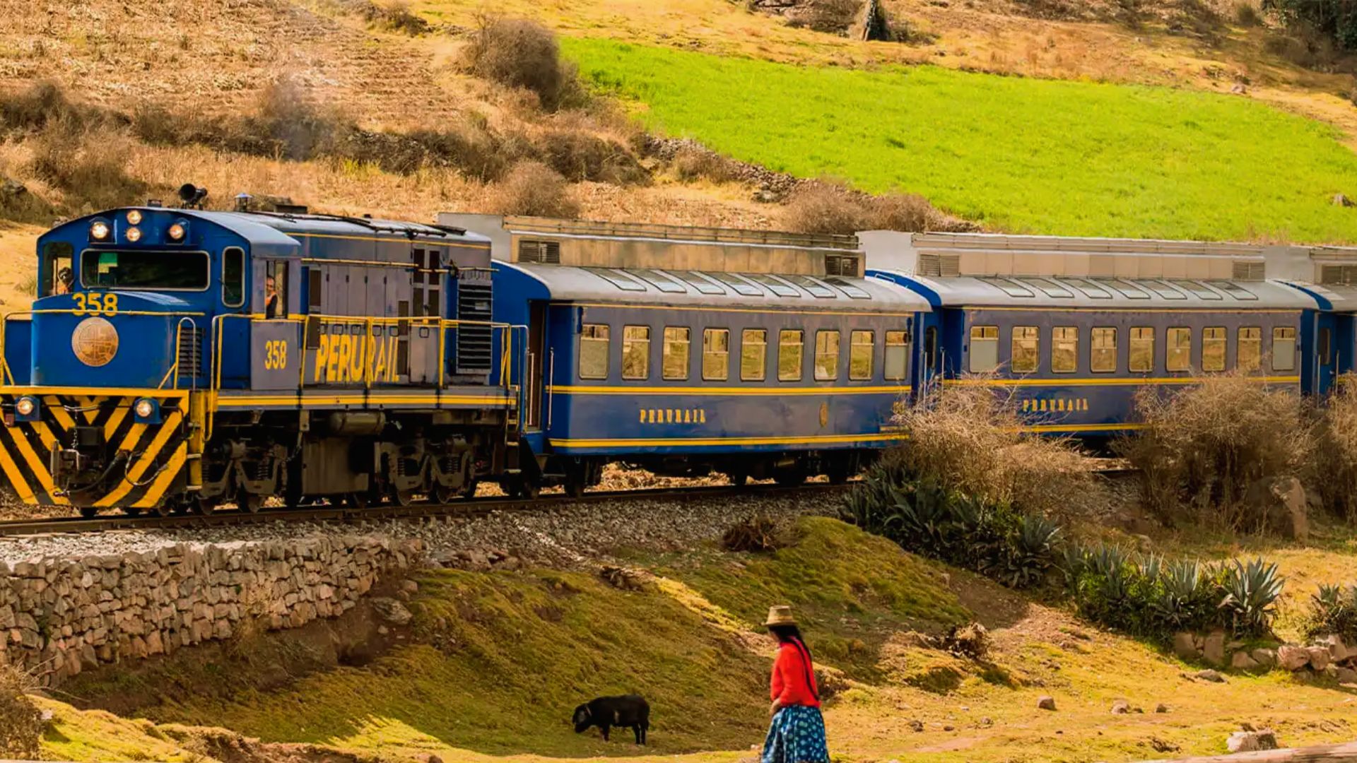 A vibrant blue train travels through a lush rural landscape under a clear sky. A woman in traditional clothing and a dog are in the foreground.