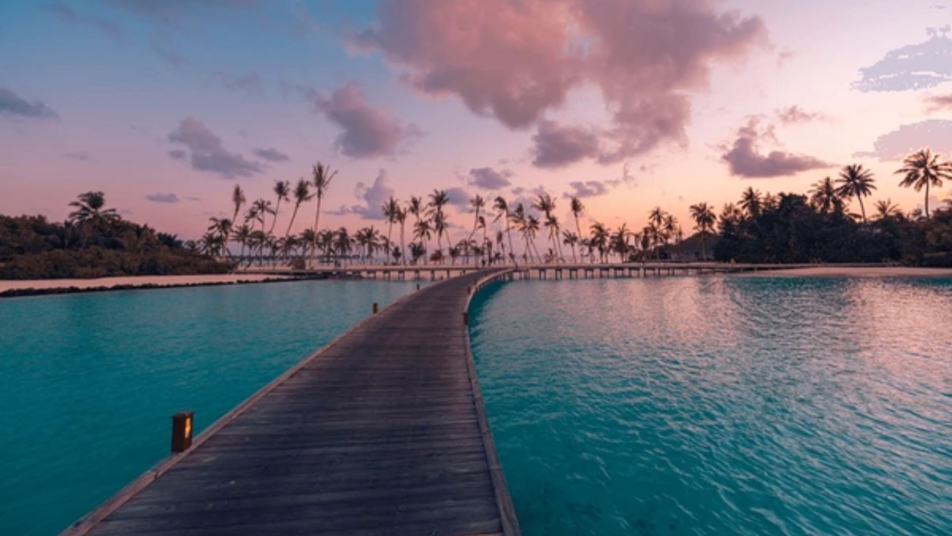 A wooden pier leads over turquoise water towards a row of palm trees at sunset. The sky is painted in pink and purple hues, creating a tranquil scene.