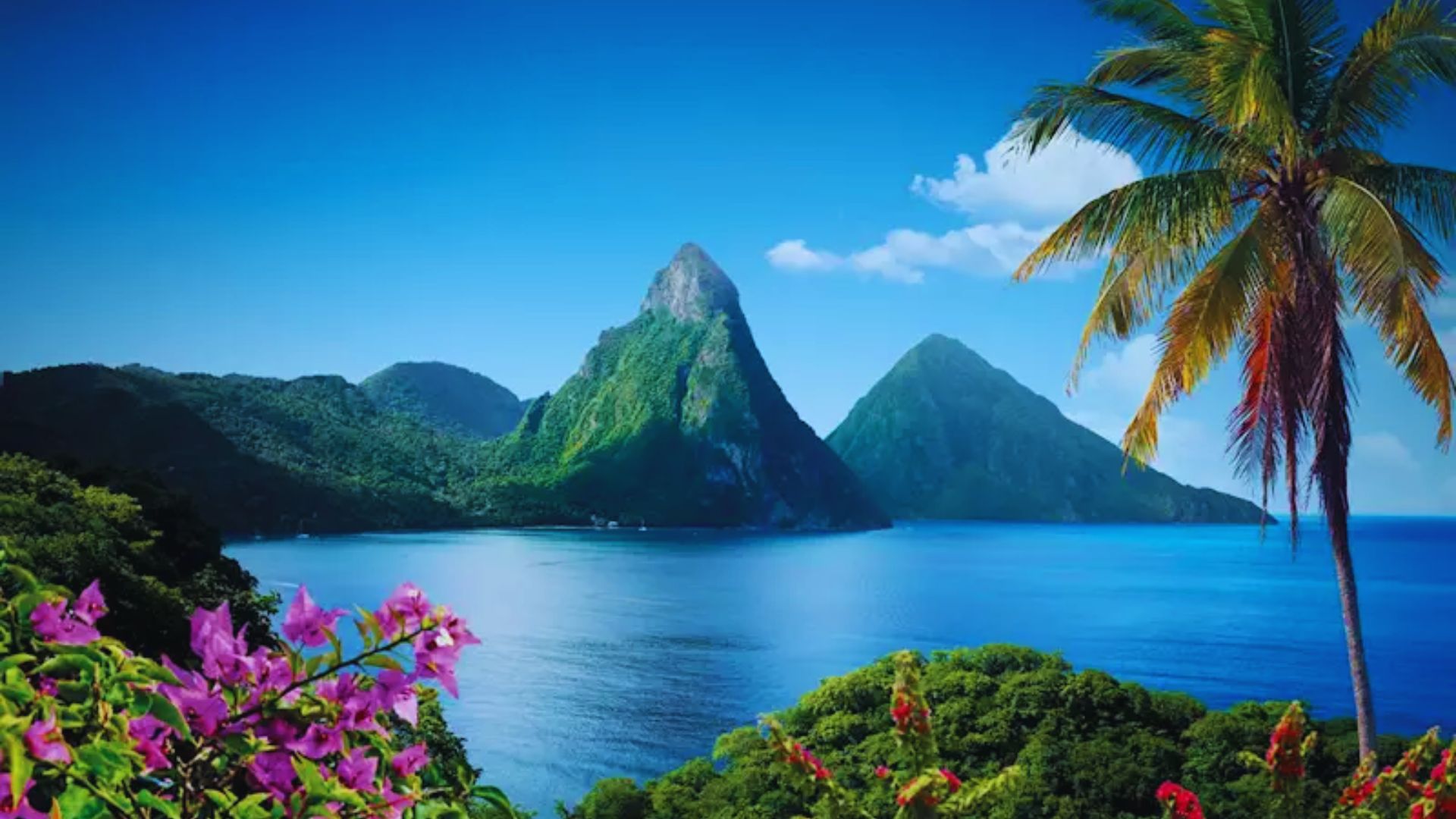 A picturesque tropical scene featuring the Piton mountains in Saint Lucia, vibrant purple flowers, lush greenery, and a palm tree under a deep blue sky.