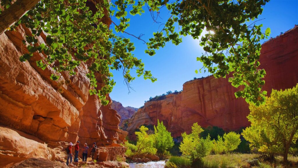 Hickman Bridge Trail