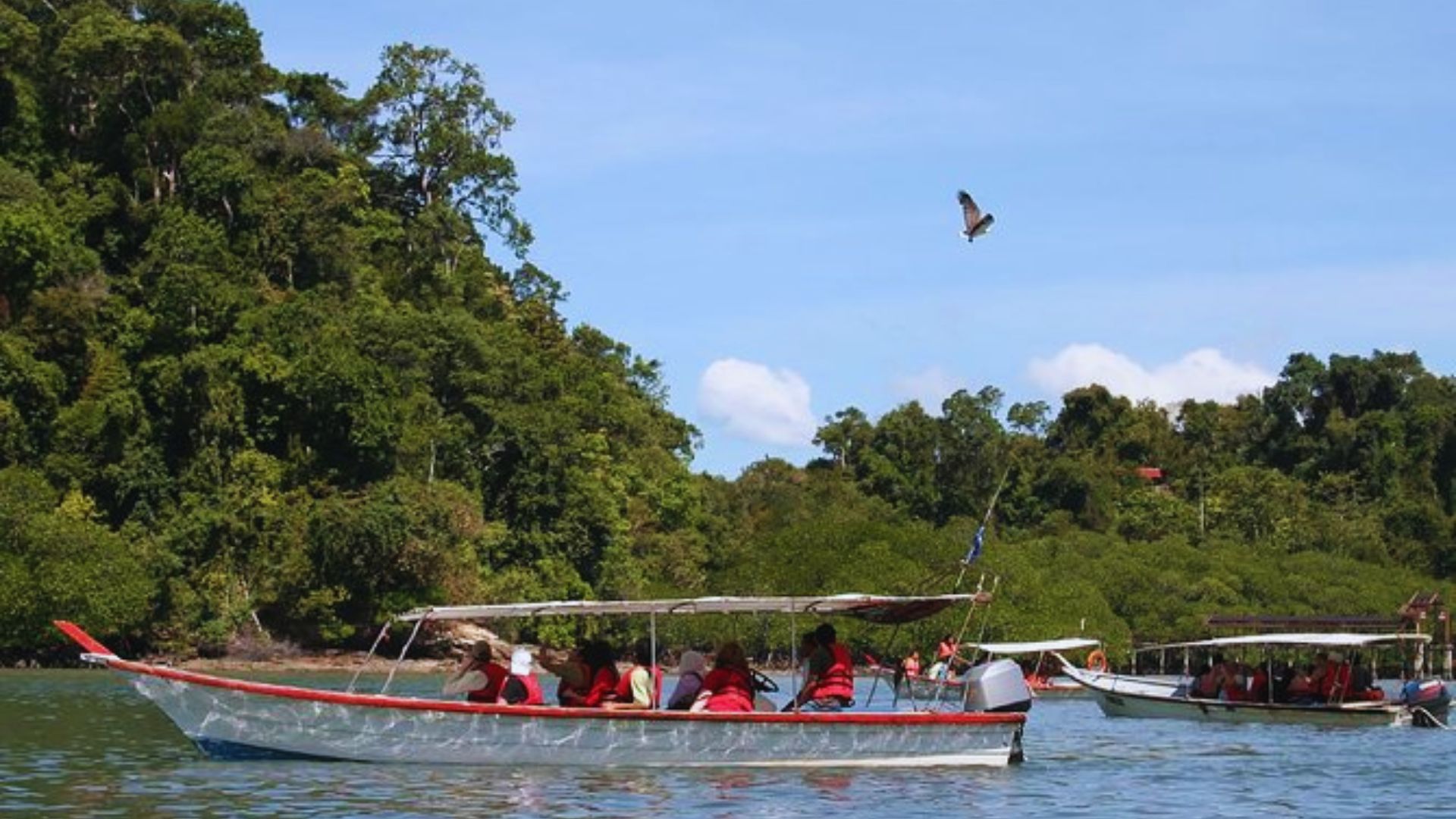 Take a Boat Tour & Island Hopping