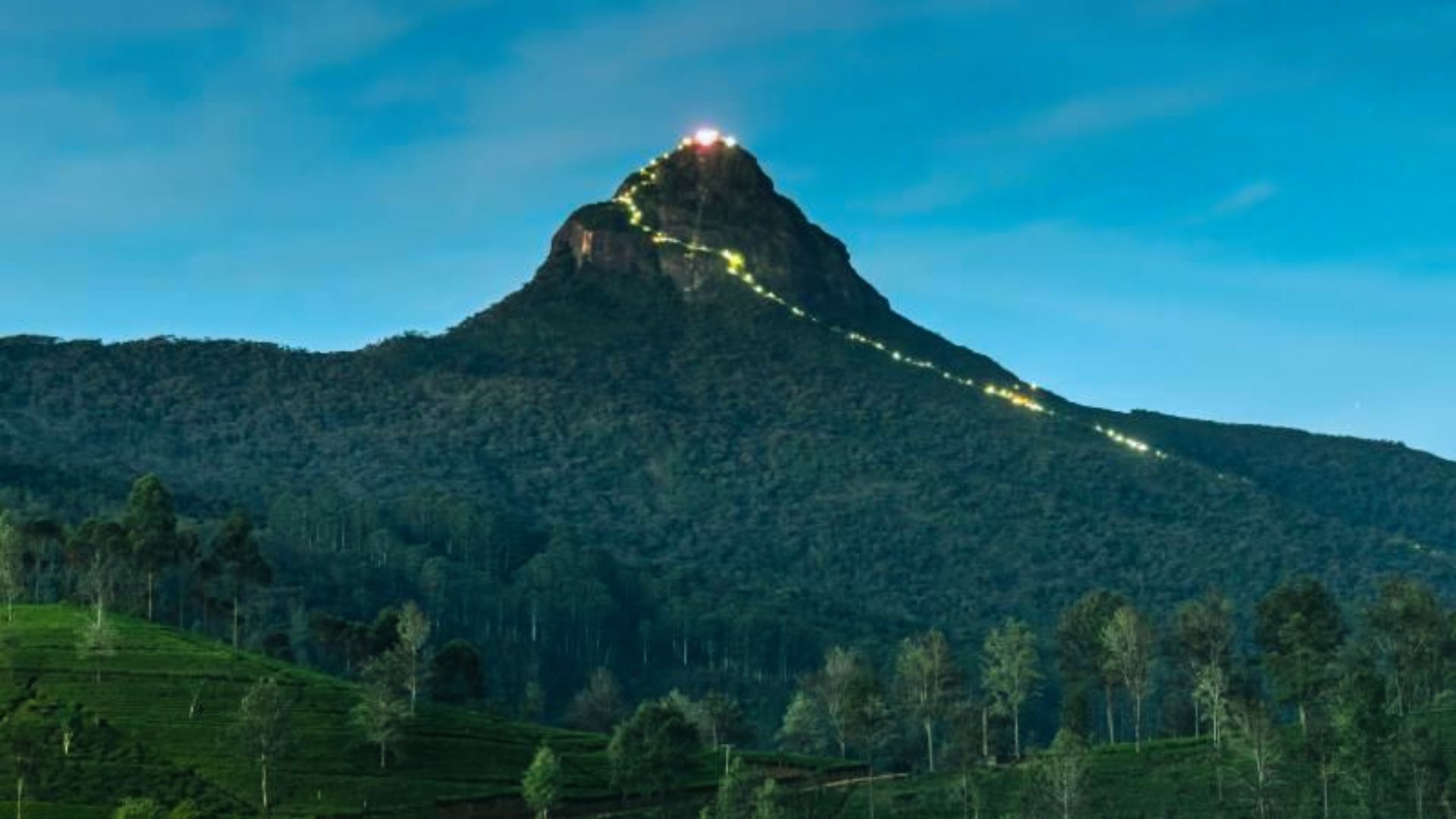 . A mountain illuminated at night, surrounded by trees and grass, creating a serene and enchanting landscape.