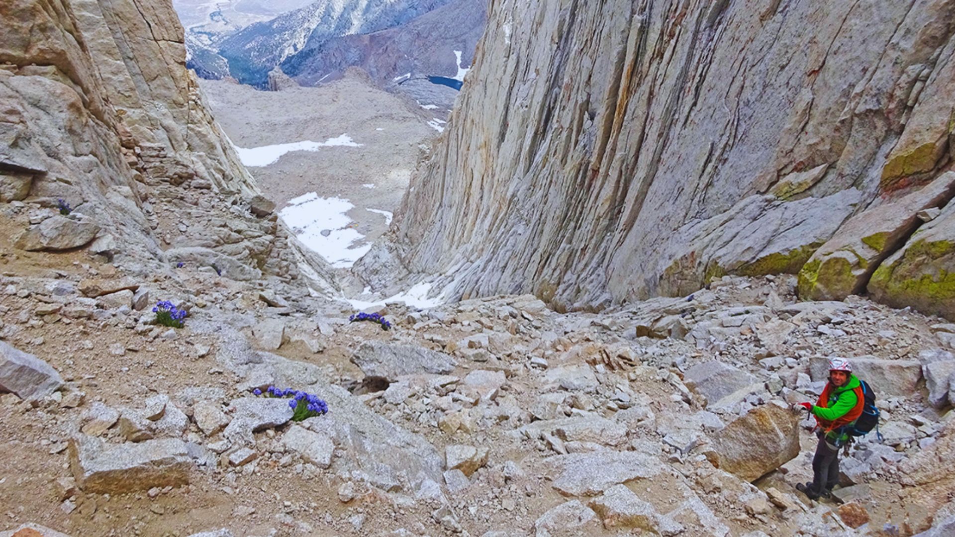 A man hikes up a steep mountain path adorned with rocks and colorful wildflowers.