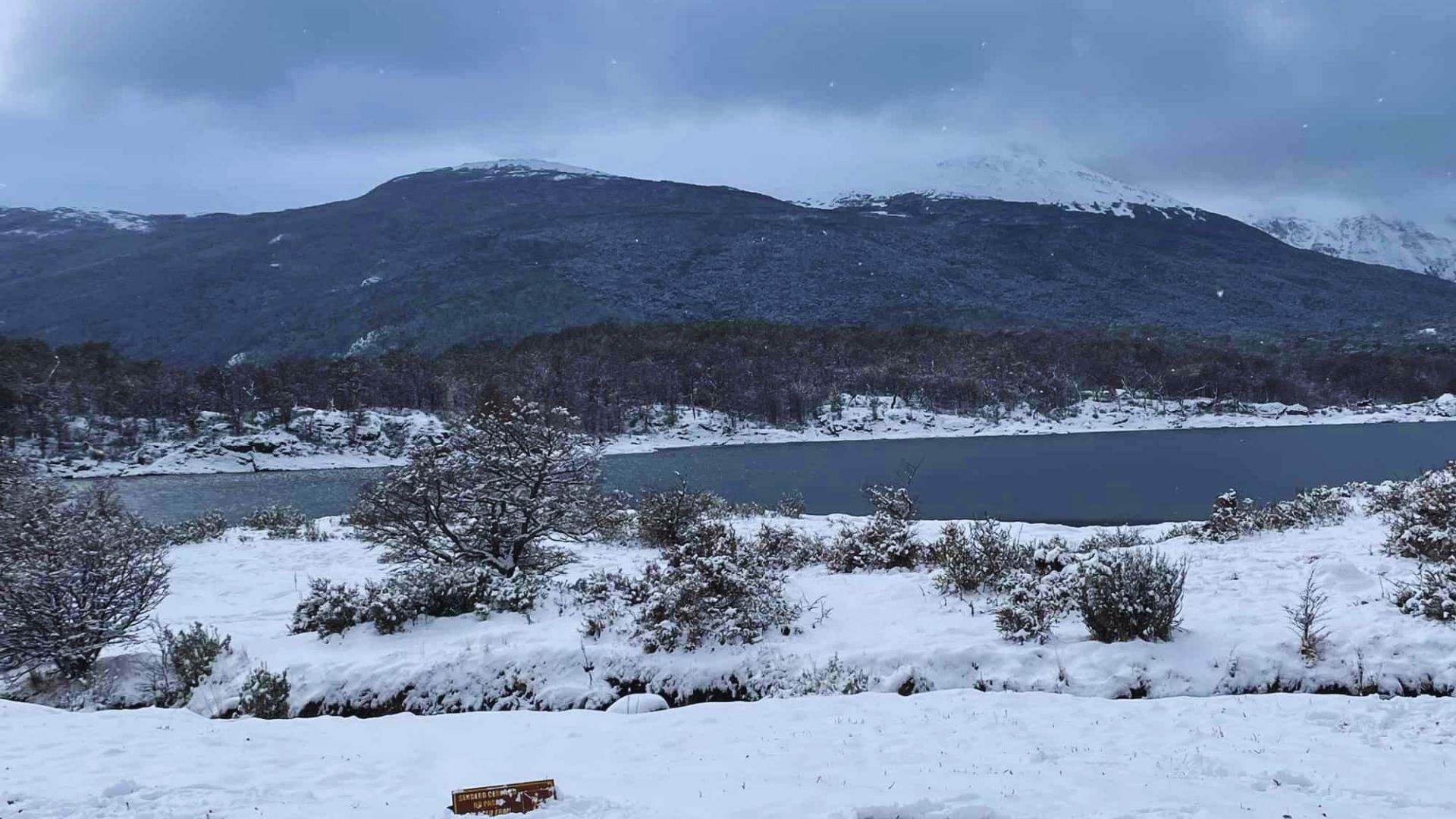 Snowy landscape with a foreground of snow-covered bushes, a calm lake, and distant mountains under a cloudy sky, conveying a serene winter scene.