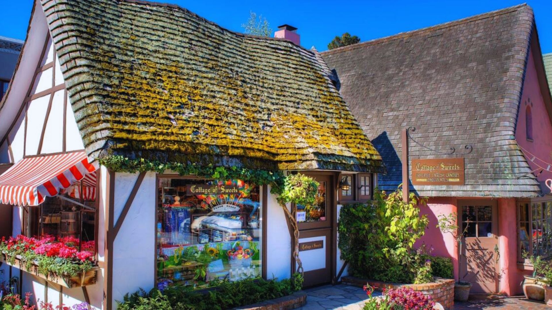 Charming cottage-style shop with moss-covered, slanted roof. Vibrant flowers adorn the entrance. Red-striped awning adds a quaint, inviting feel.