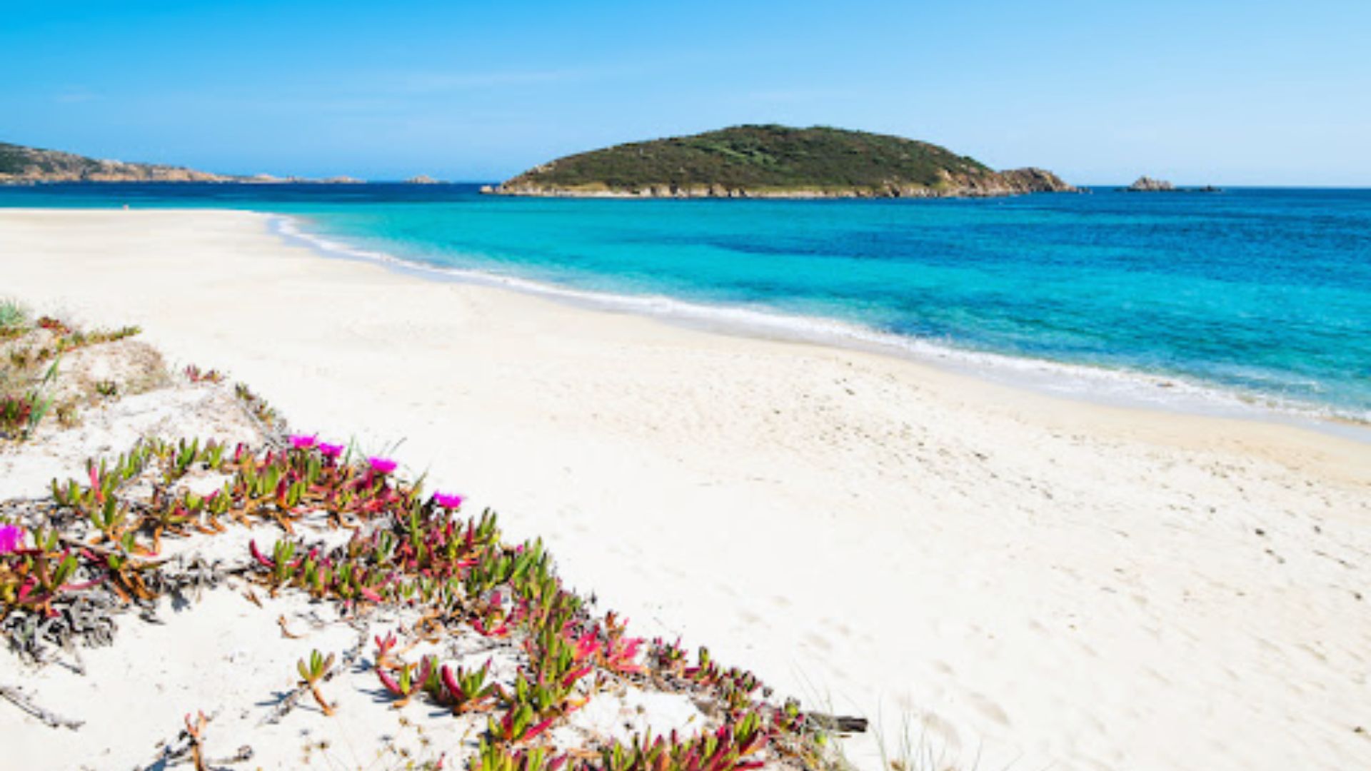 Pristine beach with white sand, vibrant blue ocean, and an island in the distance. Foreground features pink flowers, evoking tranquility.