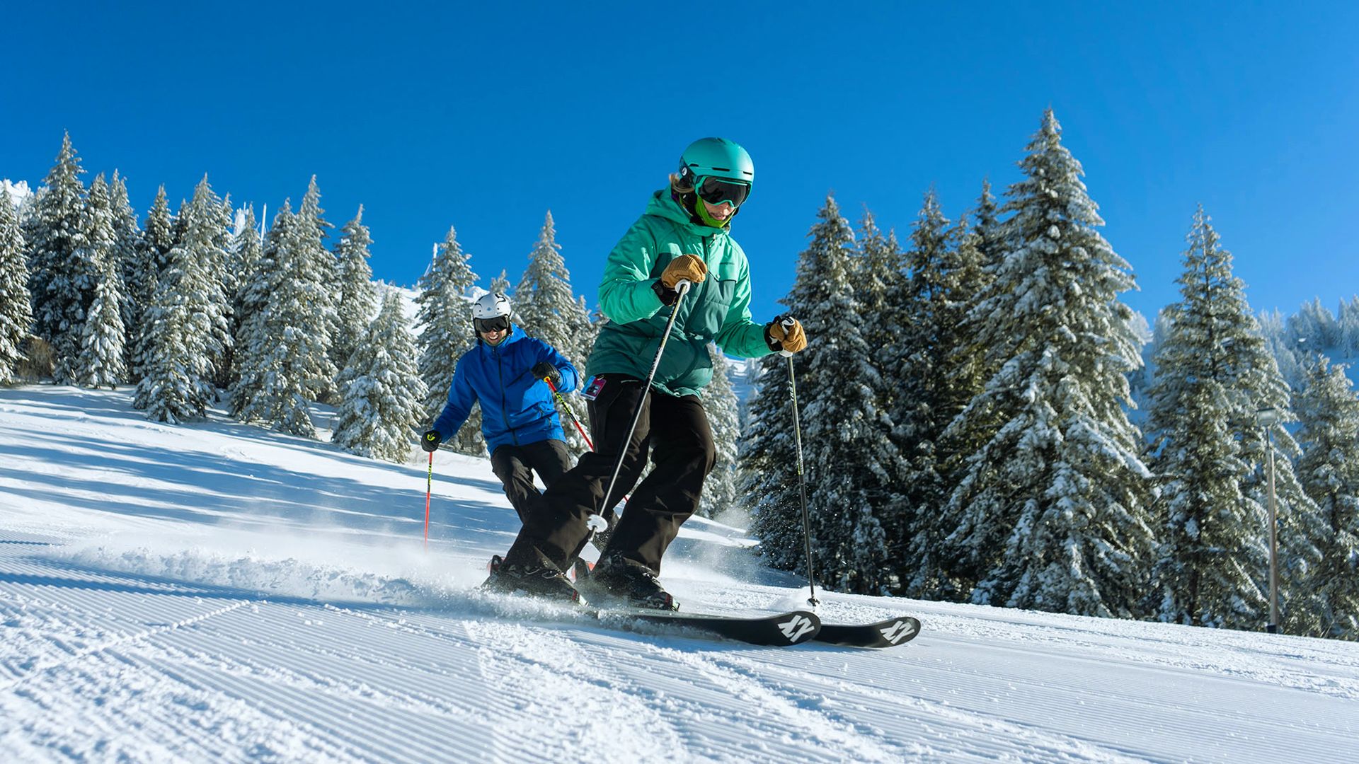 Two skiers in vibrant jackets descend a snowy slope lined with snow-covered pine trees under a clear blue sky, conveying excitement and adventure.