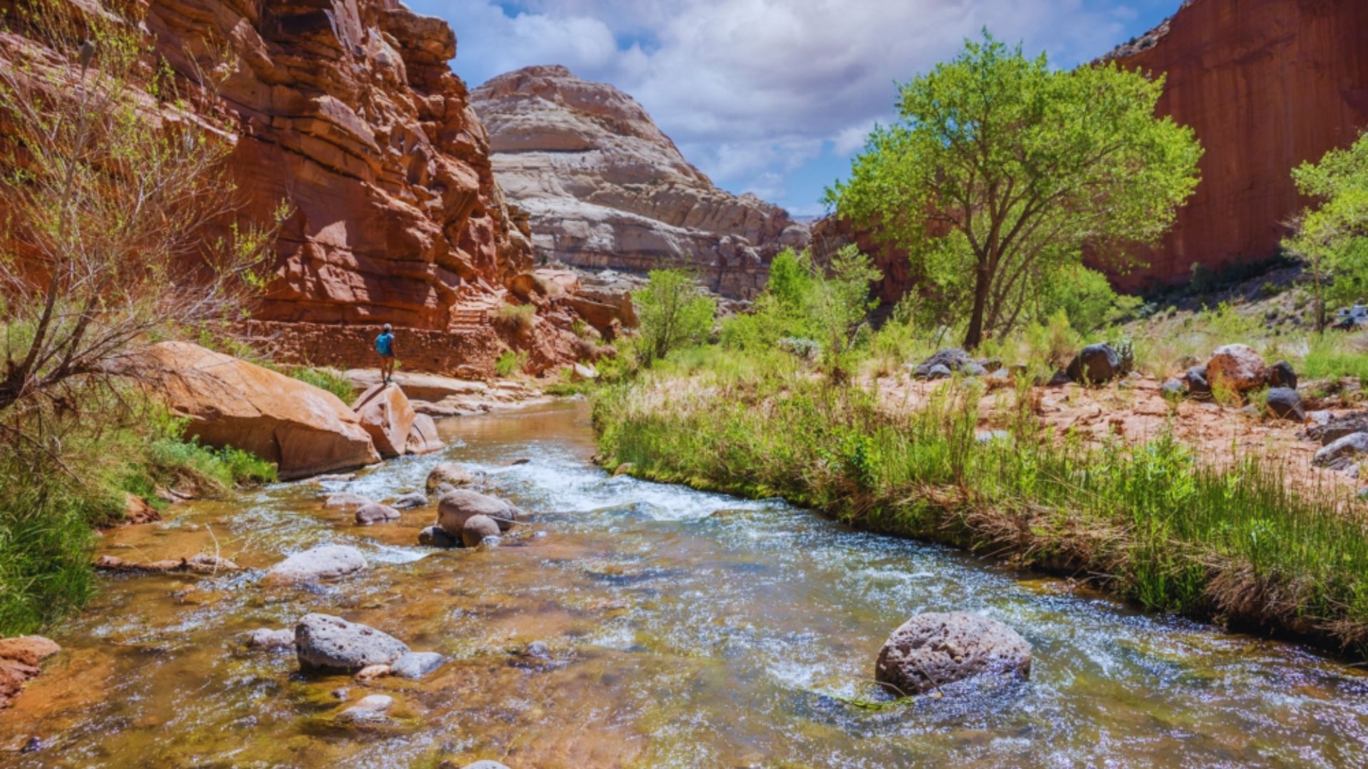 A man stands in the center of a river, surrounded by flowing water and natural scenery.