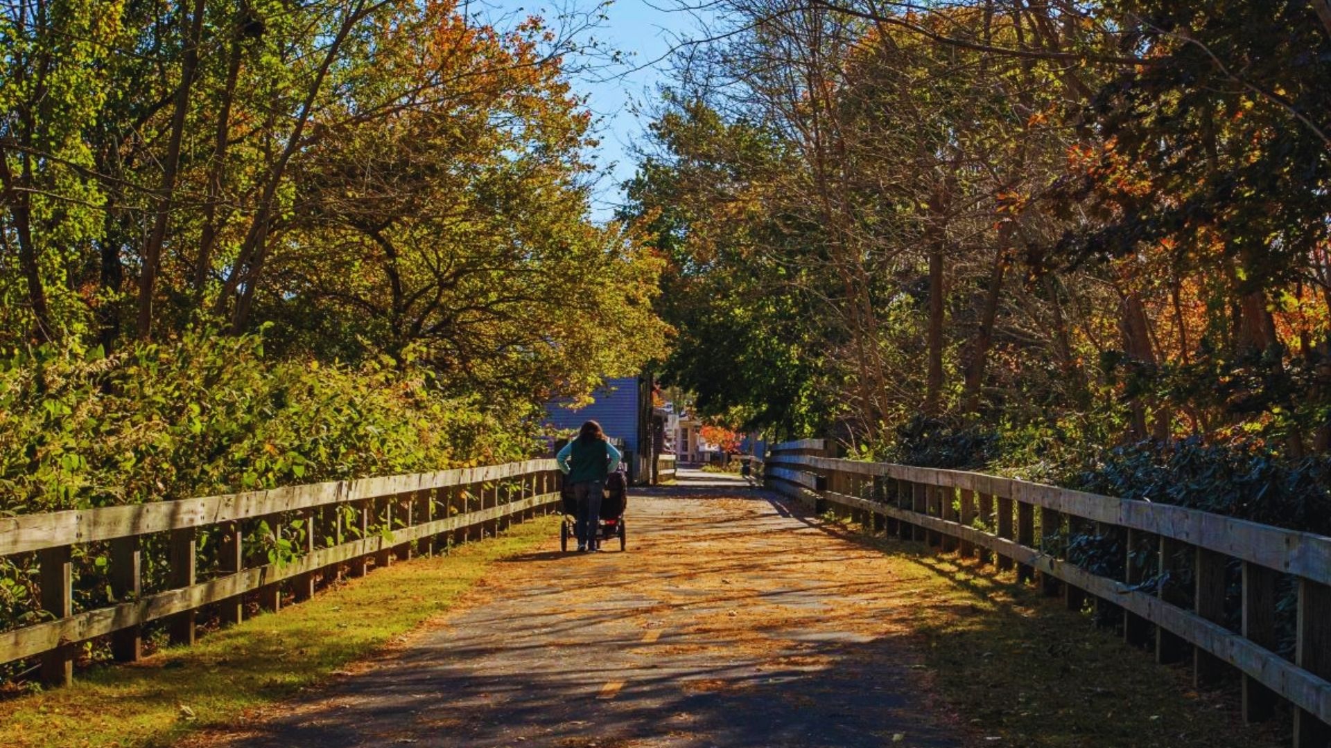 A person cycling on a path surrounded by colorful fall foliage.