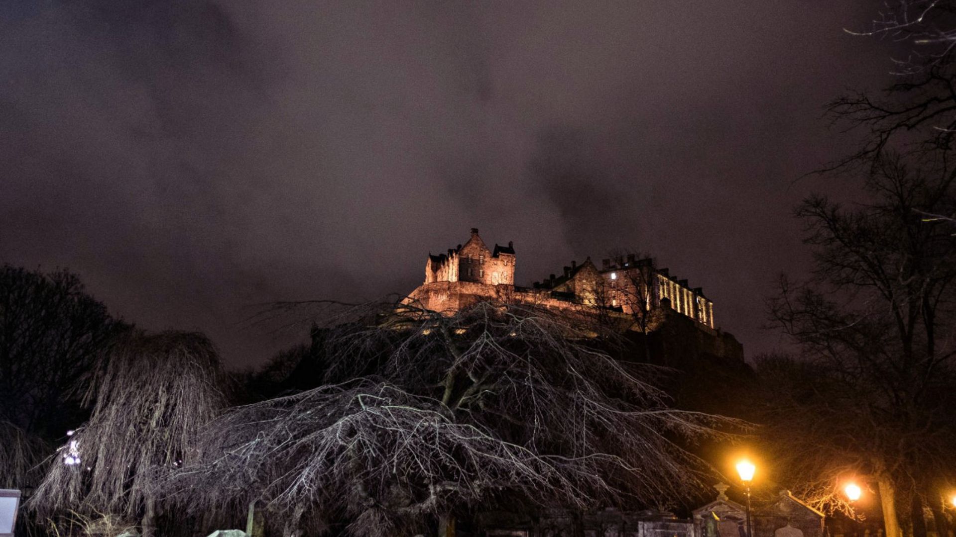 A majestic castle is illuminated atop a hill under a cloudy night sky. Leafless trees and glowing streetlights create a mysterious and serene atmosphere.