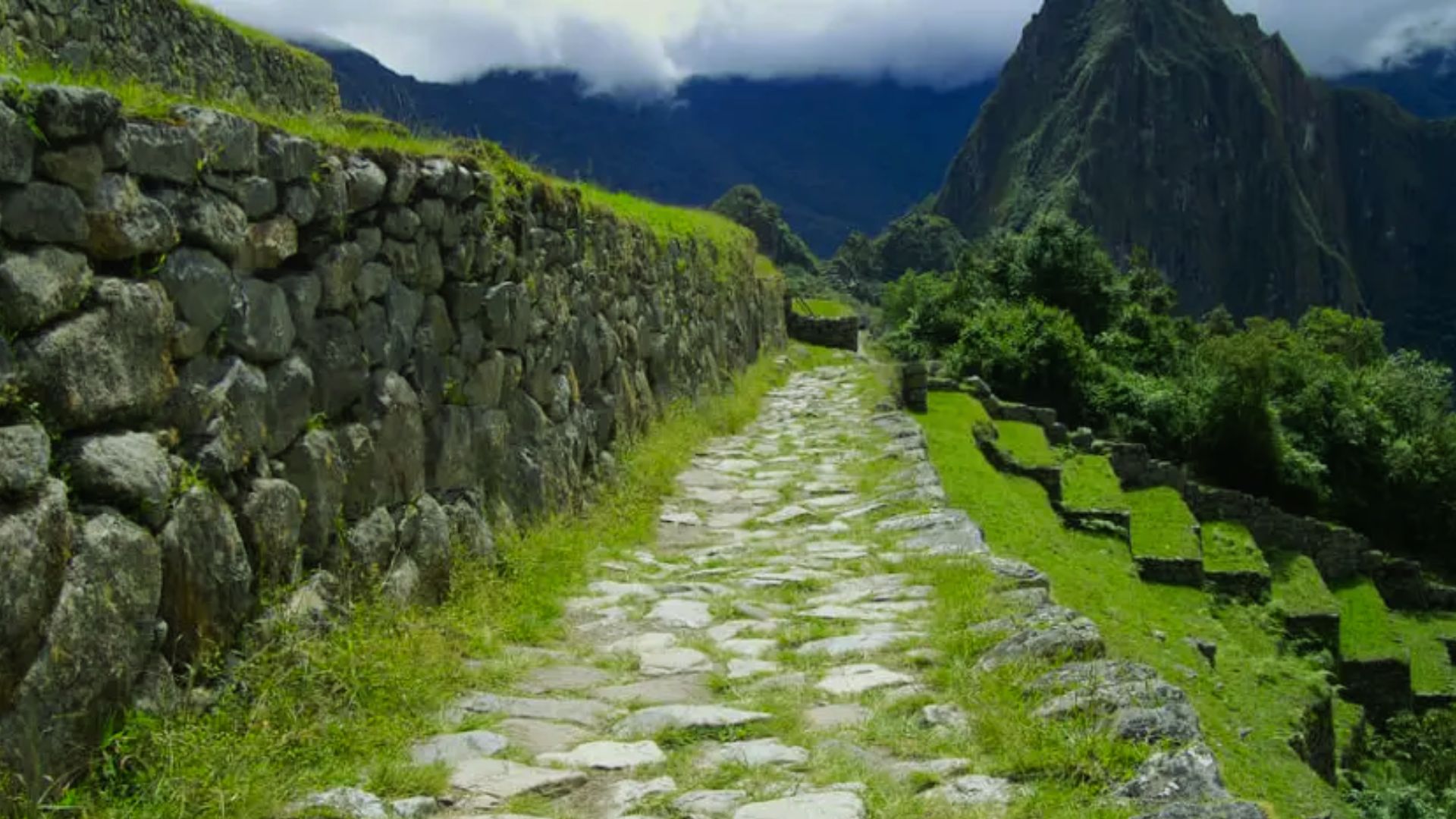 Ancient stone path at Machu Picchu, flanked by stone walls and terraced greenery, leads to misty mountains under a cloudy sky, evoking tranquility.