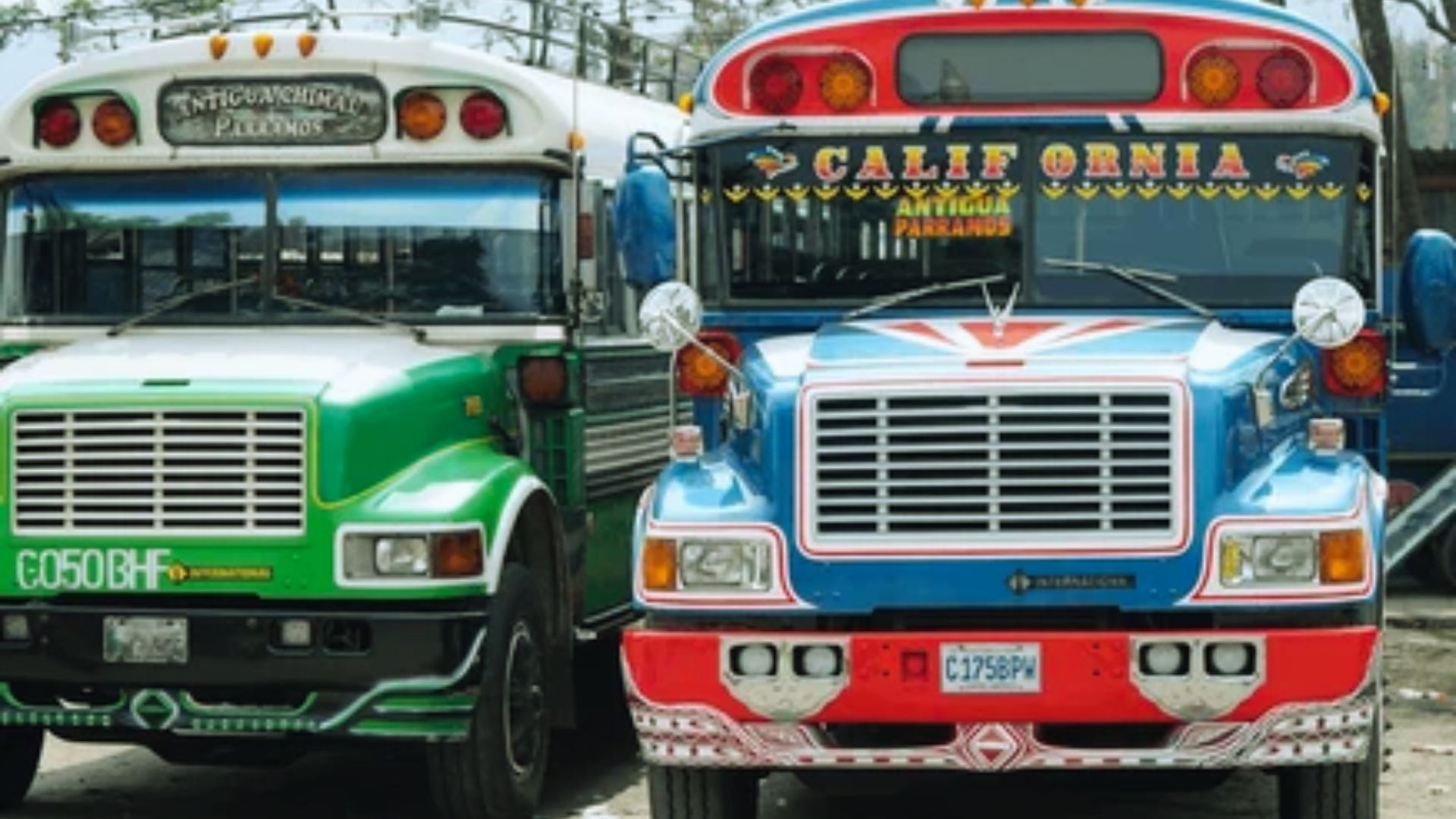 Two vibrantly painted buses are parked side by side. The one on the left is green, while the right is blue and red with "California" on the windshield. Both display intricate designs, evoking a lively and colorful atmosphere.