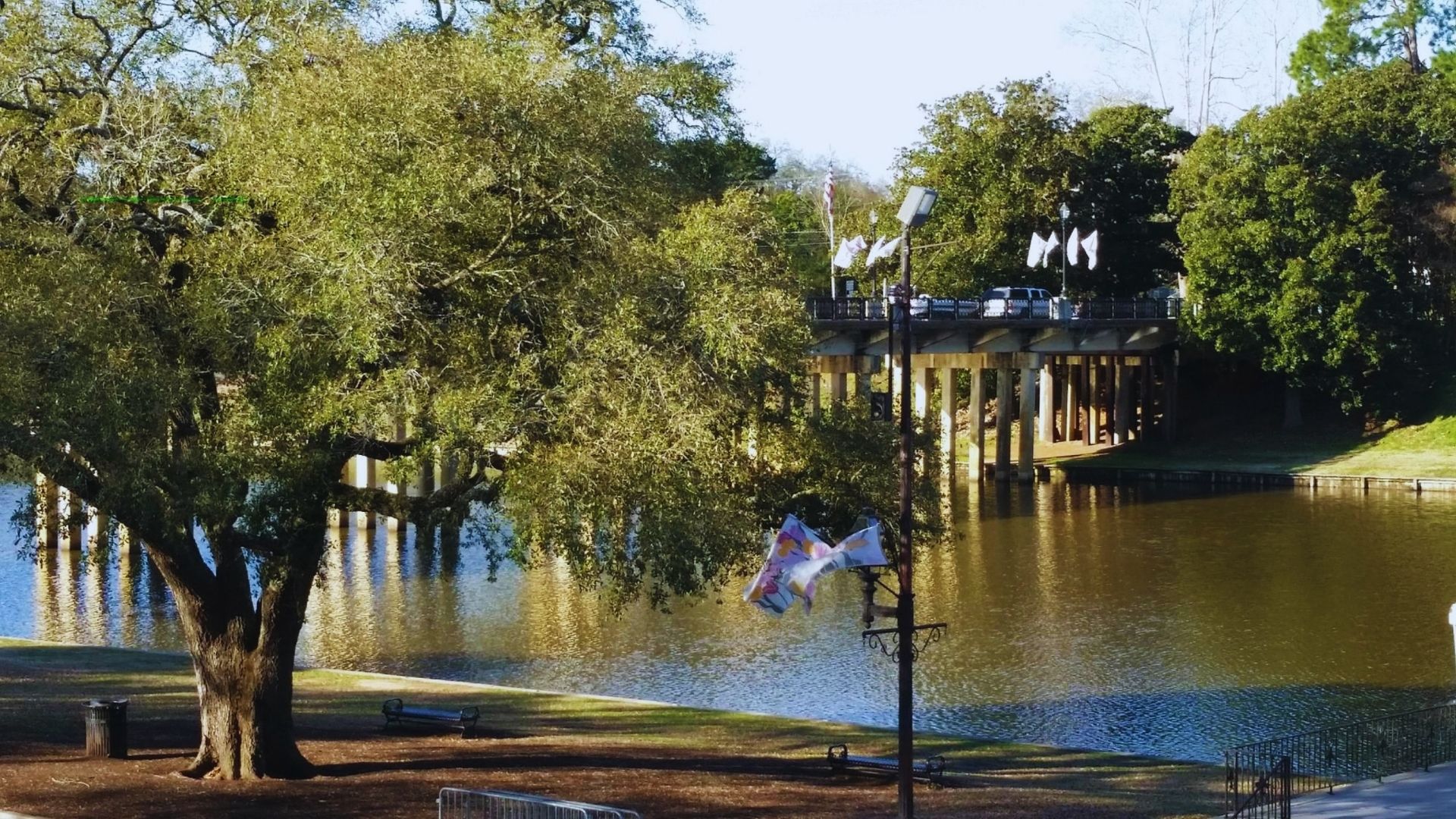 A serene park featuring benches and trees alongside a flowing river, inviting relaxation and nature appreciation.