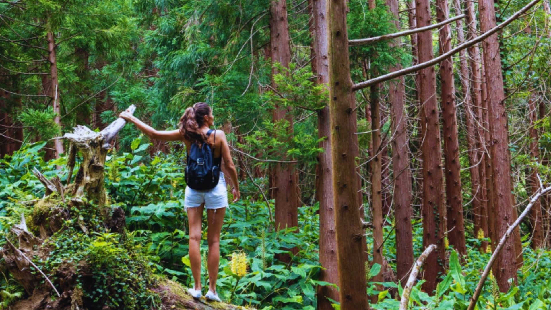 A woman stands on a fallen tree in a lush forest, surrounded by greenery and dappled sunlight filtering through the leaves.