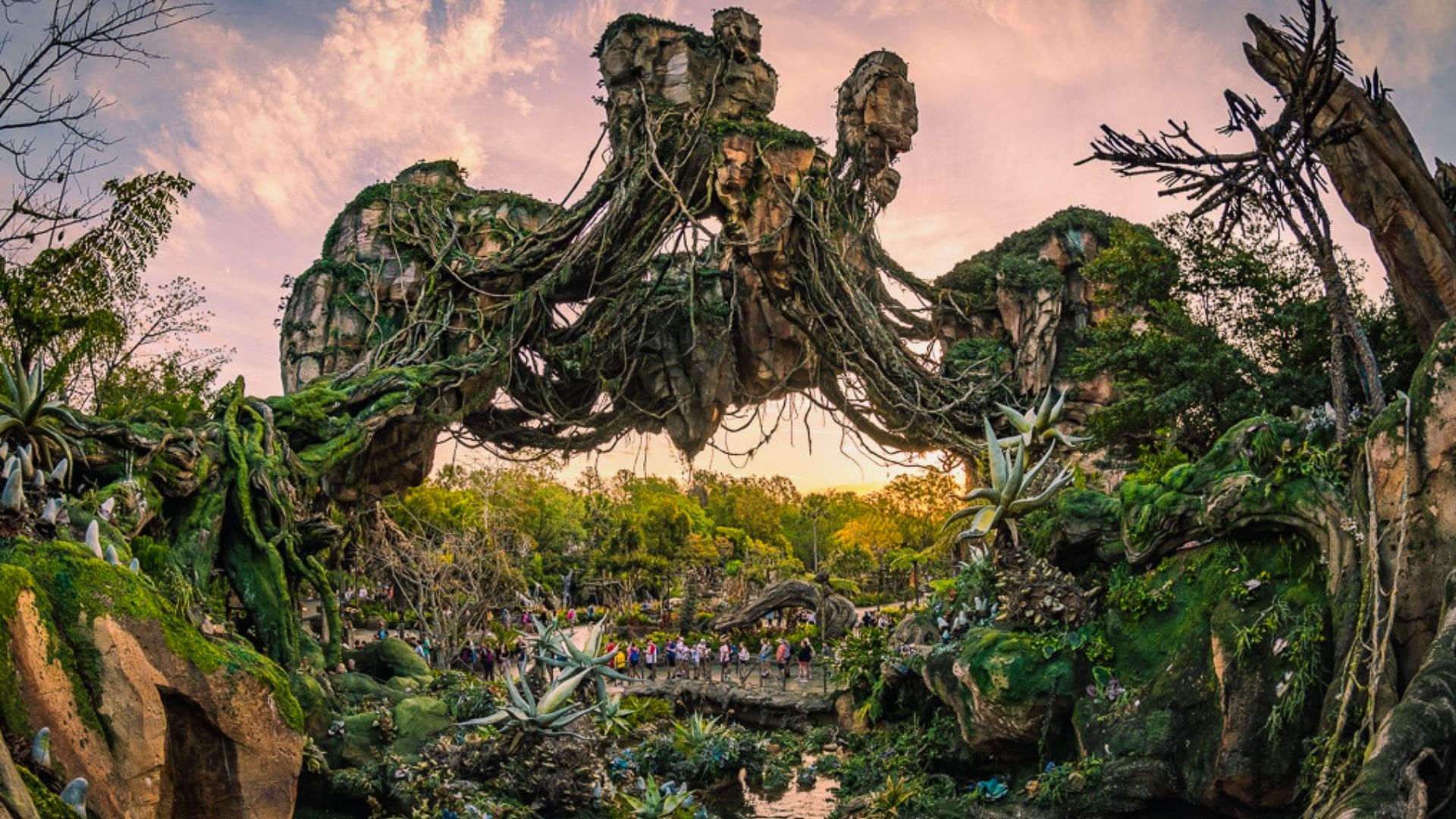 Animal Kingdom Itinerary: Step-by-Step Touring Plan - OhThePlacesWeSee
