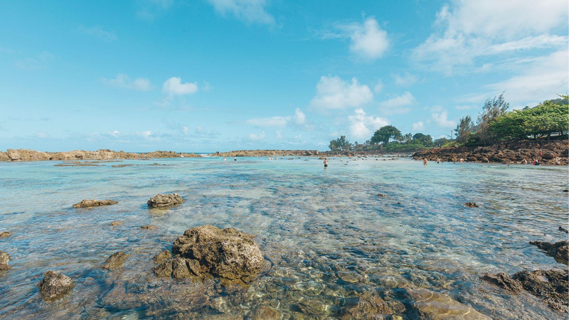 Shallow, clear lagoon with exposed rocks and snorkelers wading in calm water under a sunny sky.