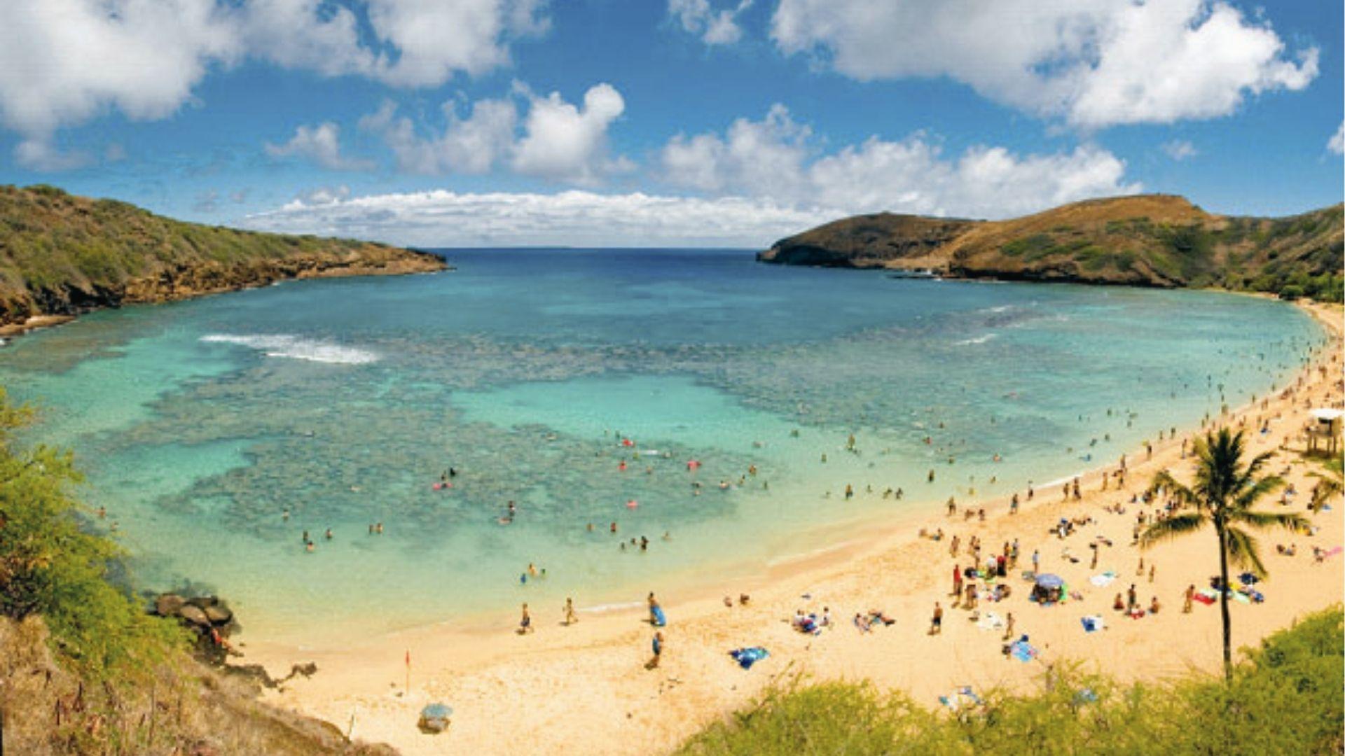 Wide view of a busy crescent bay with dozens of snorkelers in crystal-clear water.