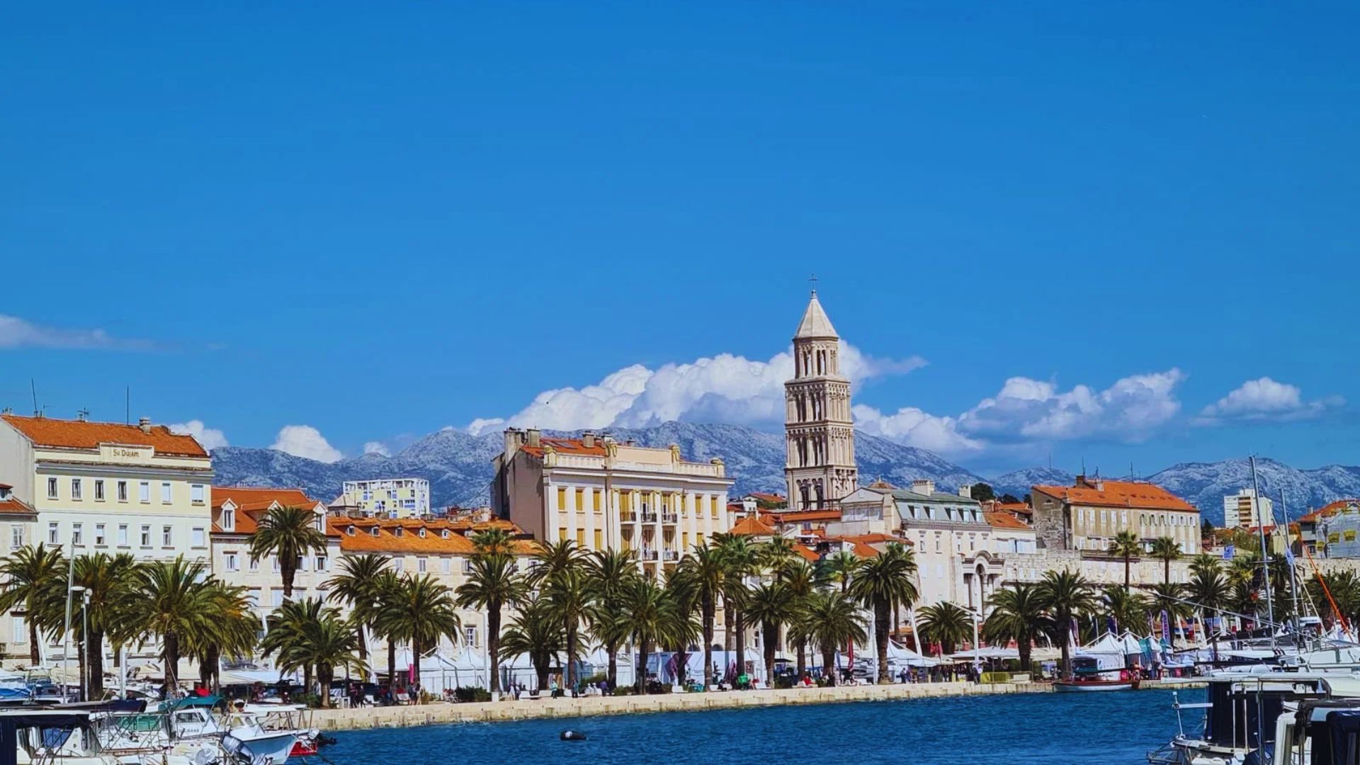 Scenic coastal view of Split, Croatia, featuring palm trees, historic buildings, and a prominent bell tower under a vibrant blue sky with mountains in the background.