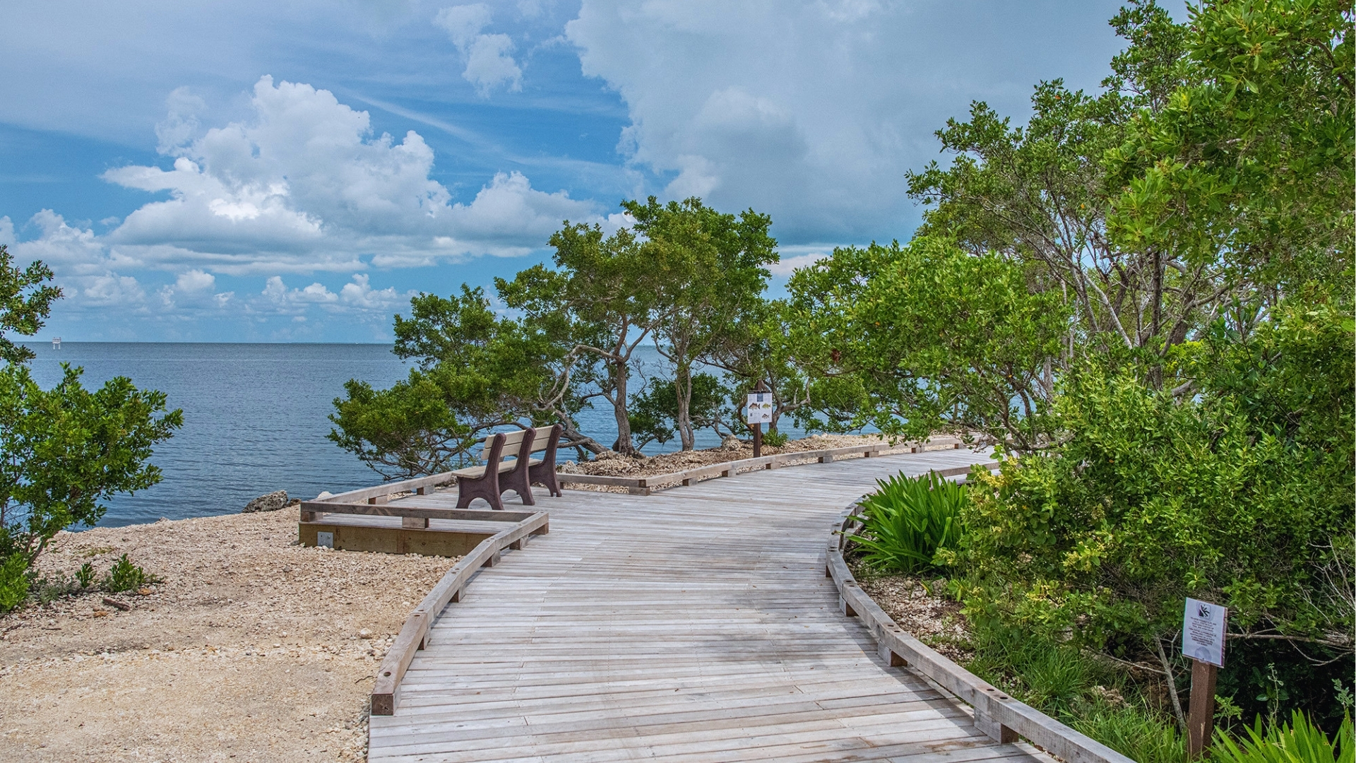 A wooden boardwalk curves along a tranquil coastline, surrounded by lush green trees. Two empty benches face the calm sea under a partly cloudy sky.