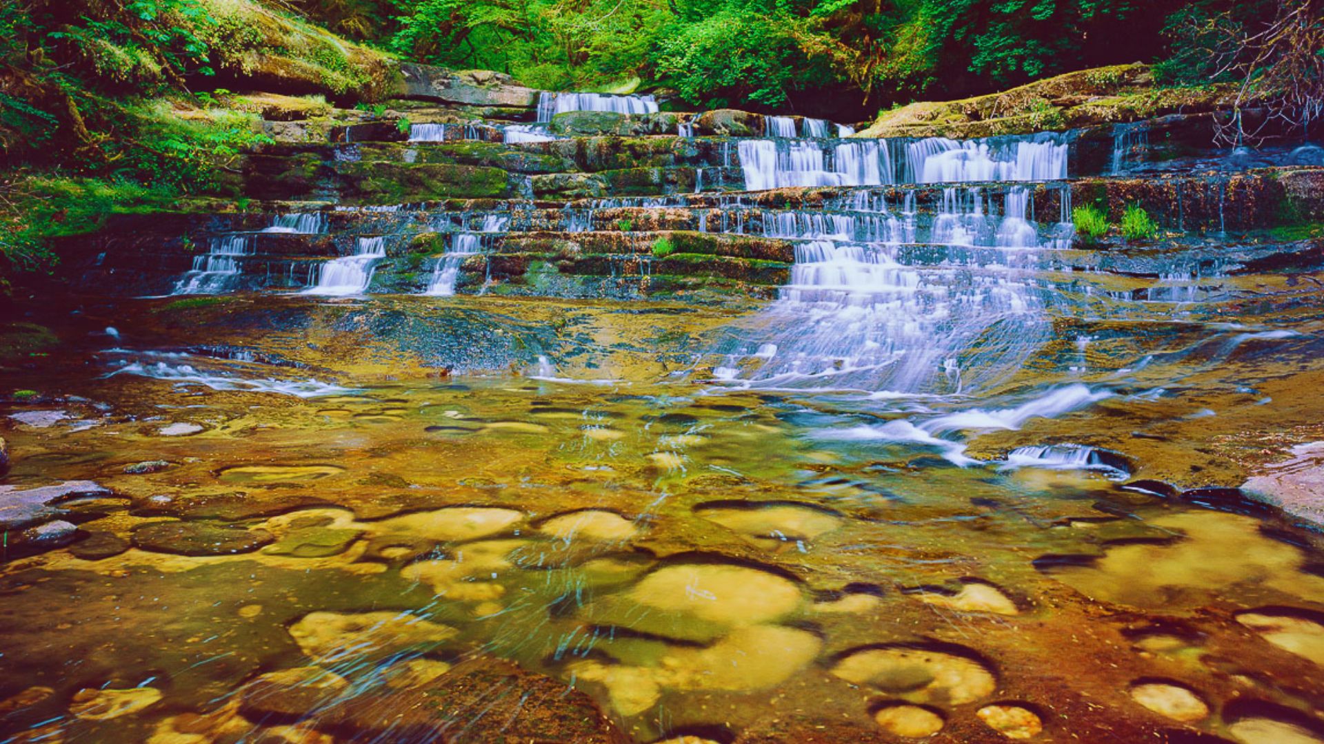 A serene waterfall cascades over mossy rocks into a clear, shallow pool, surrounded by lush green foliage in a tranquil forest.