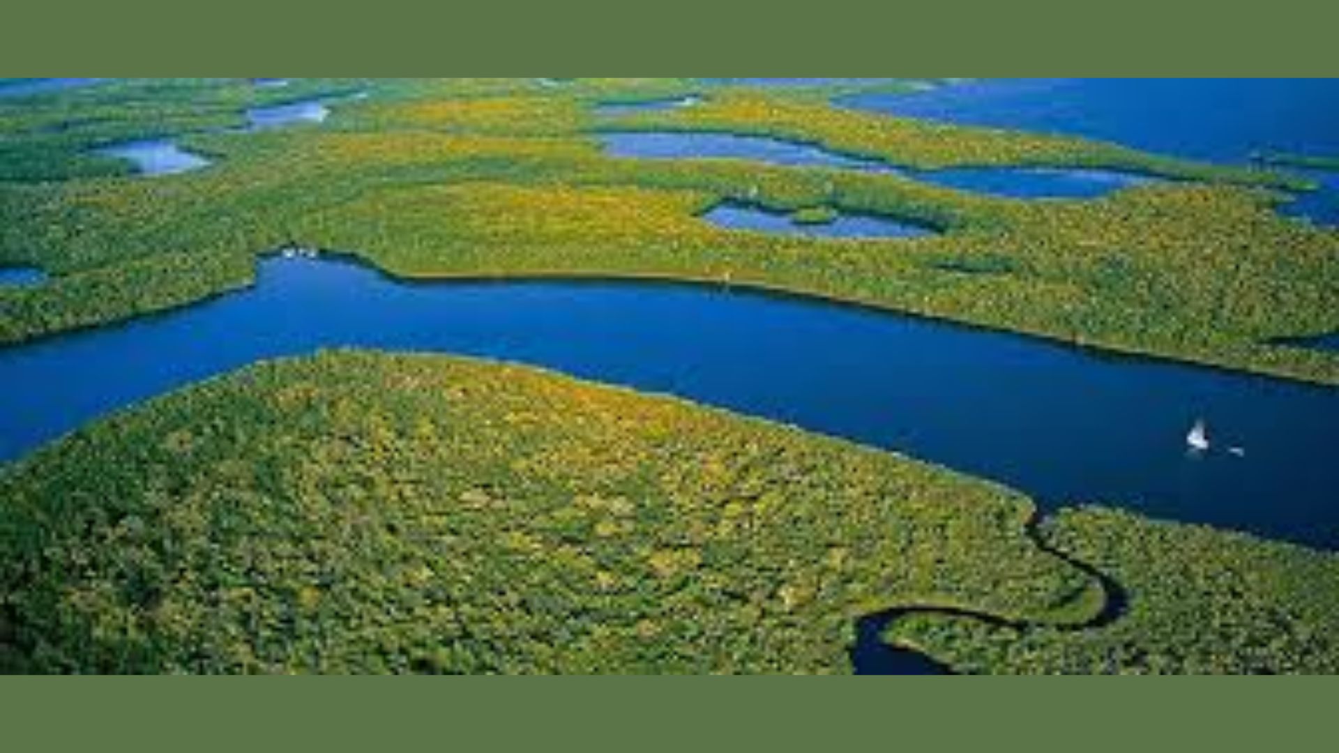 Everglades National Park, Florida