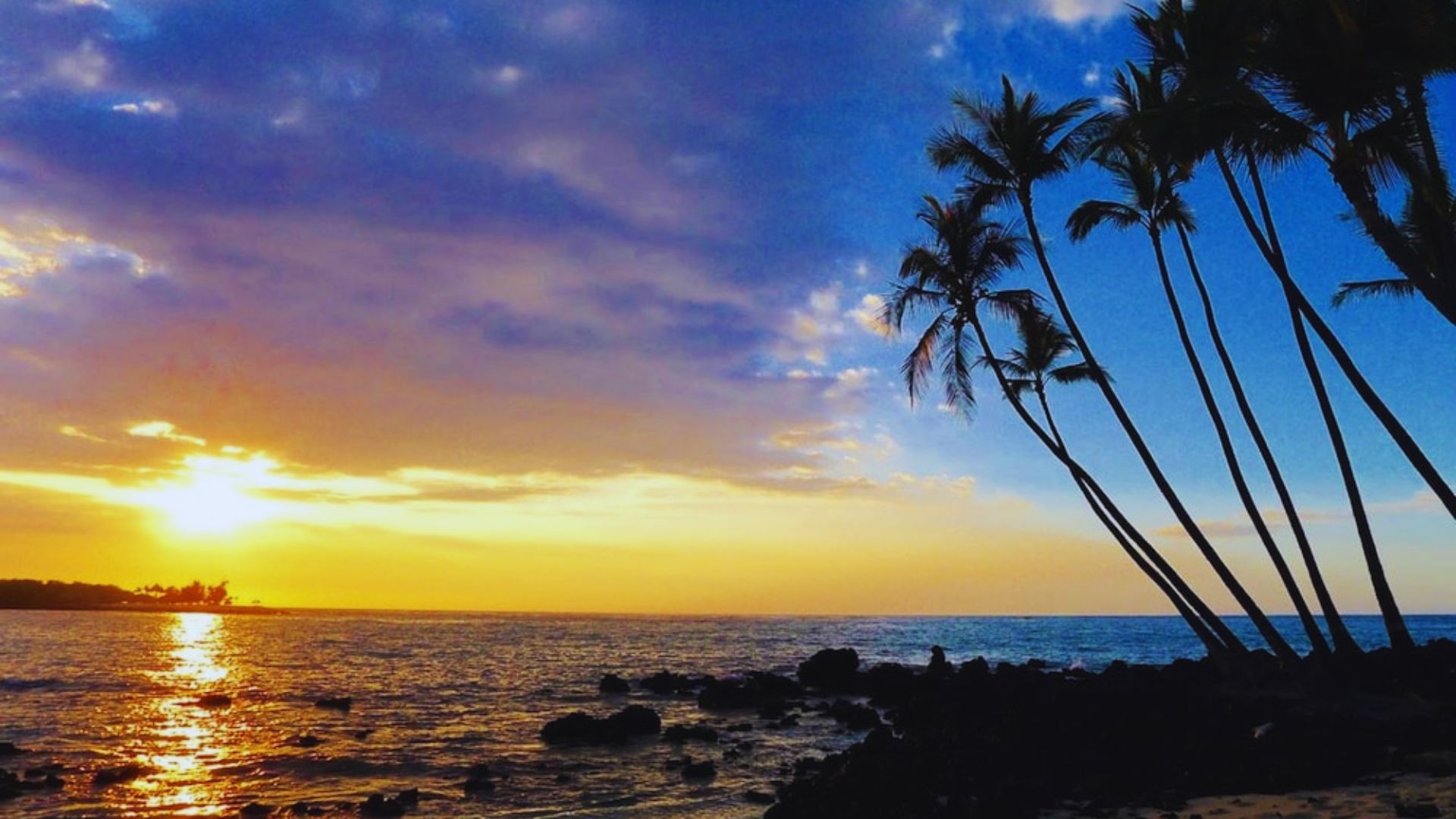 A vibrant sunset casts orange and pink hues over the ocean, silhouetting palm trees against the colorful sky.