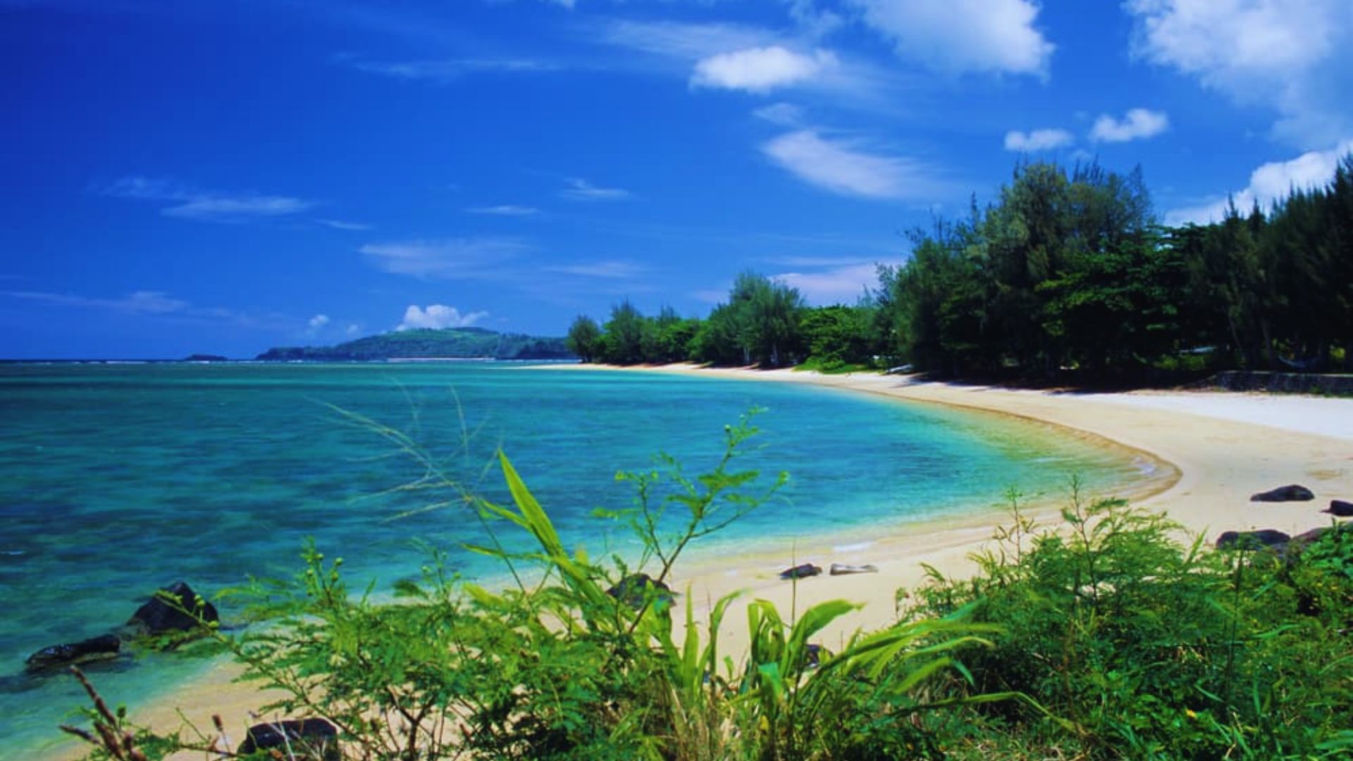 A sandy beach with clear blue water and lush green vegetation lining the shore under a bright sky.